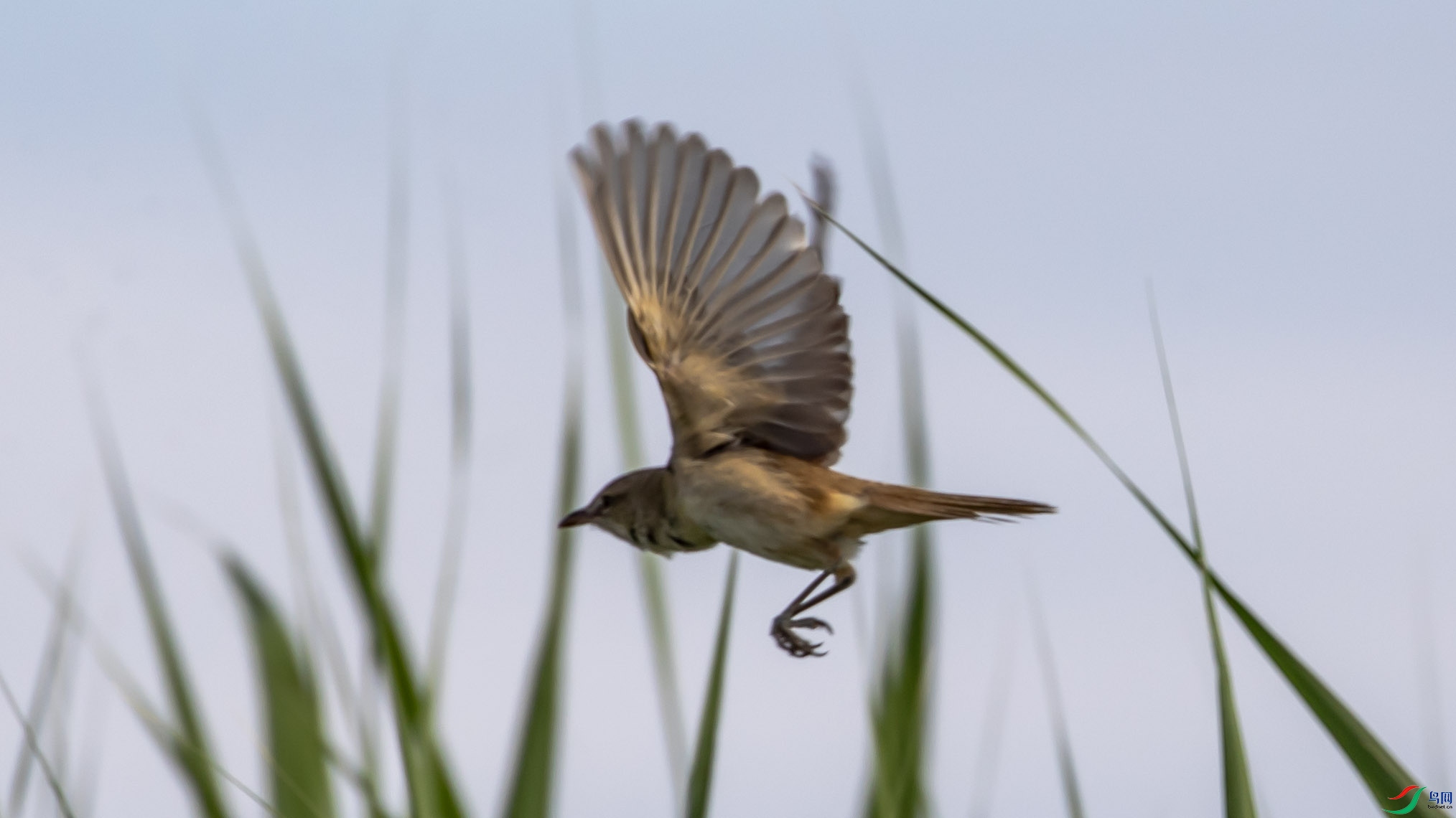 I99A6216 ������έݺOK.jpg