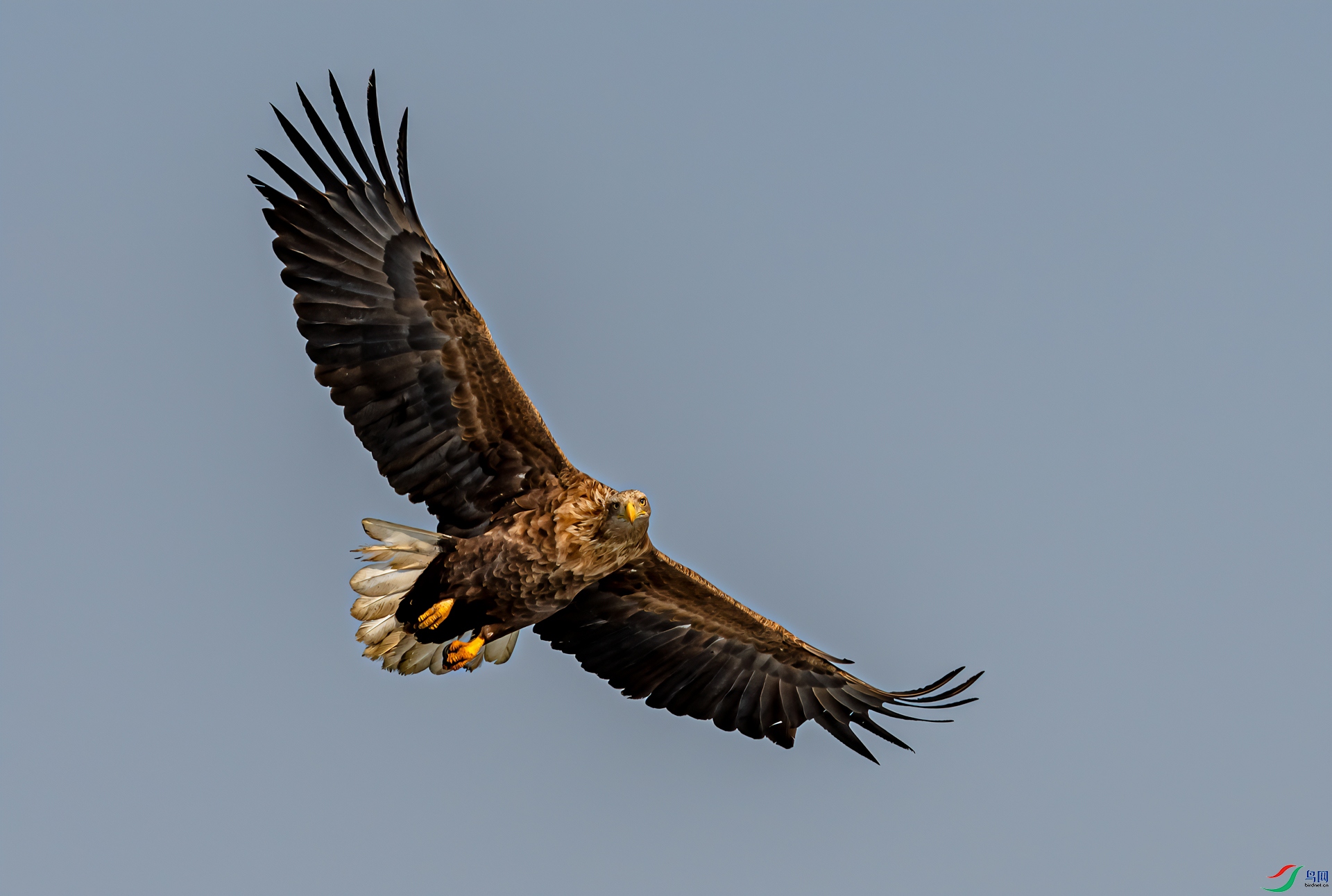 _DSC1603-21.jpg