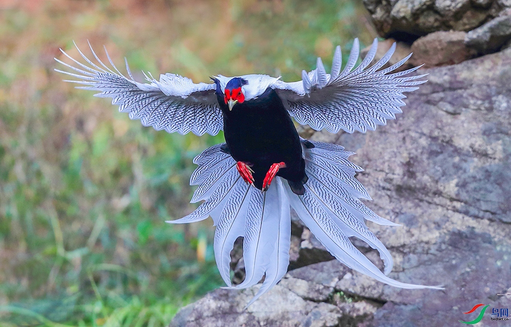 ӭ��չ�� [����].JPG