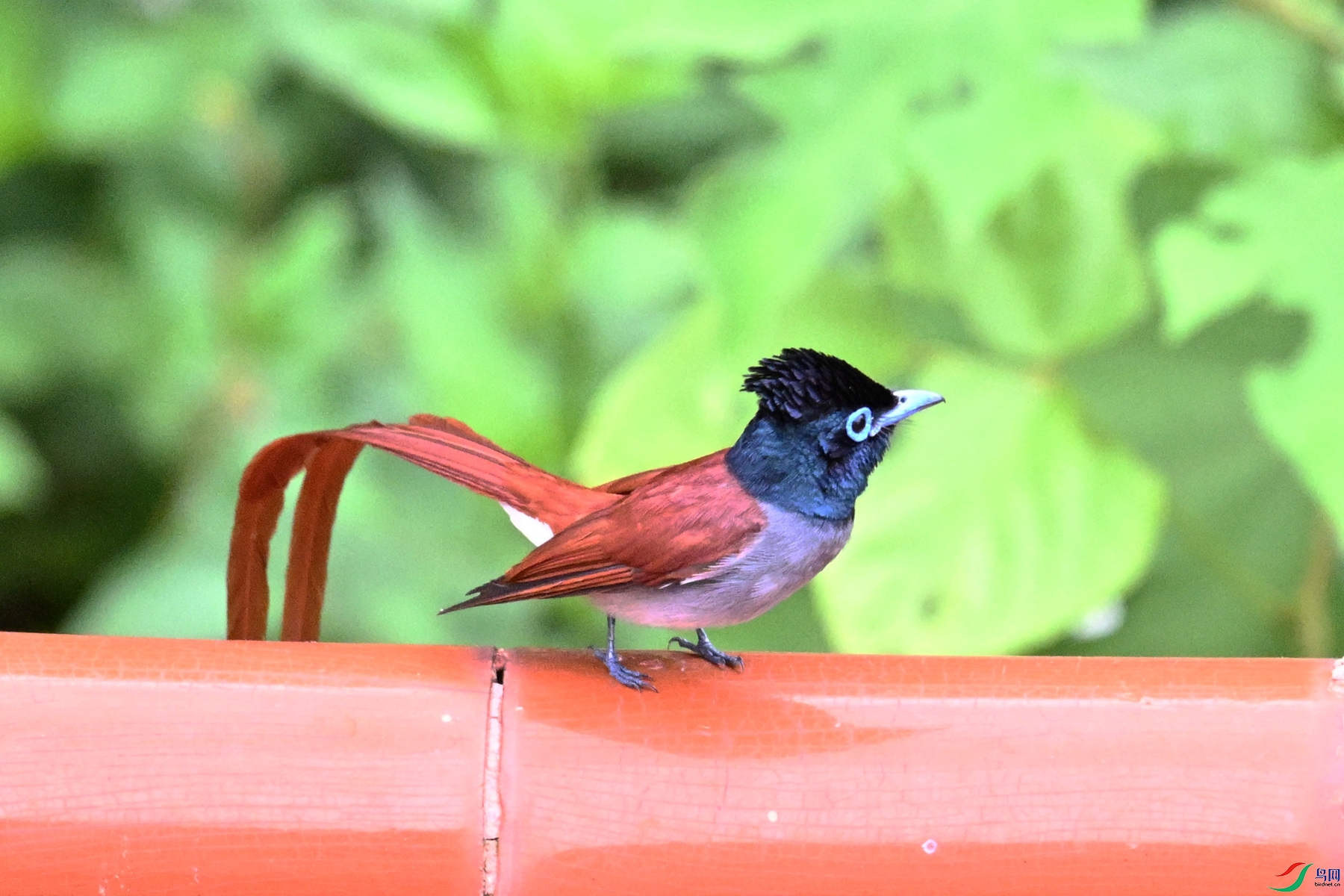 DSC_7148.JPG