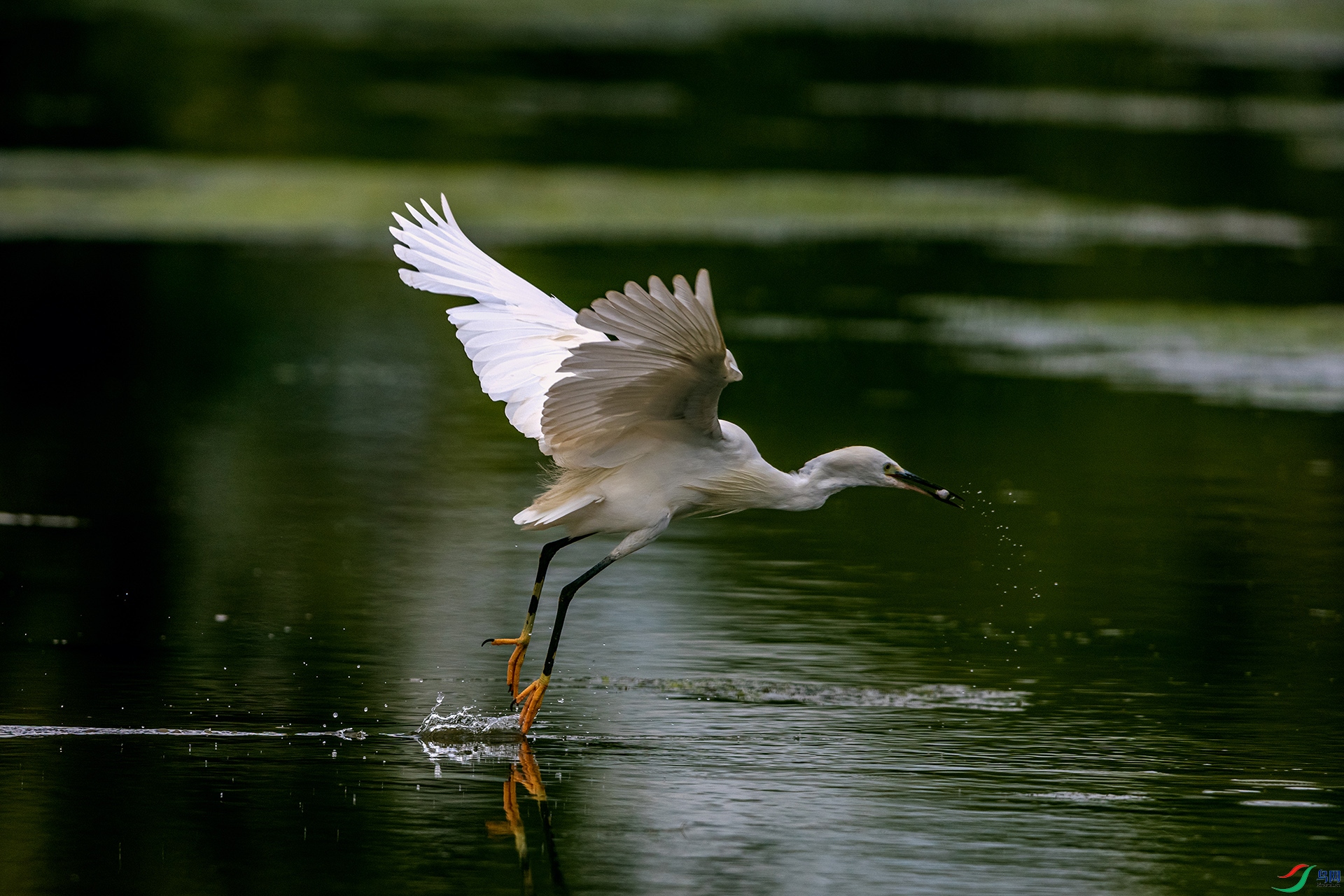 _AUU4853 С����(25.6.28).jpg