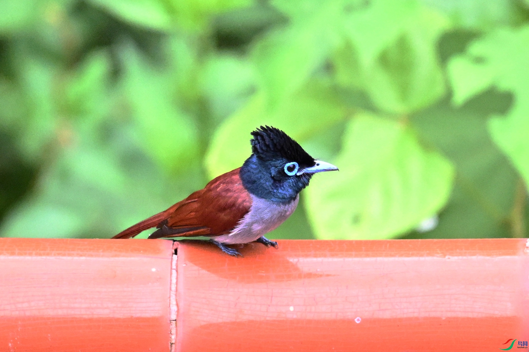 DSC_7142.JPG
