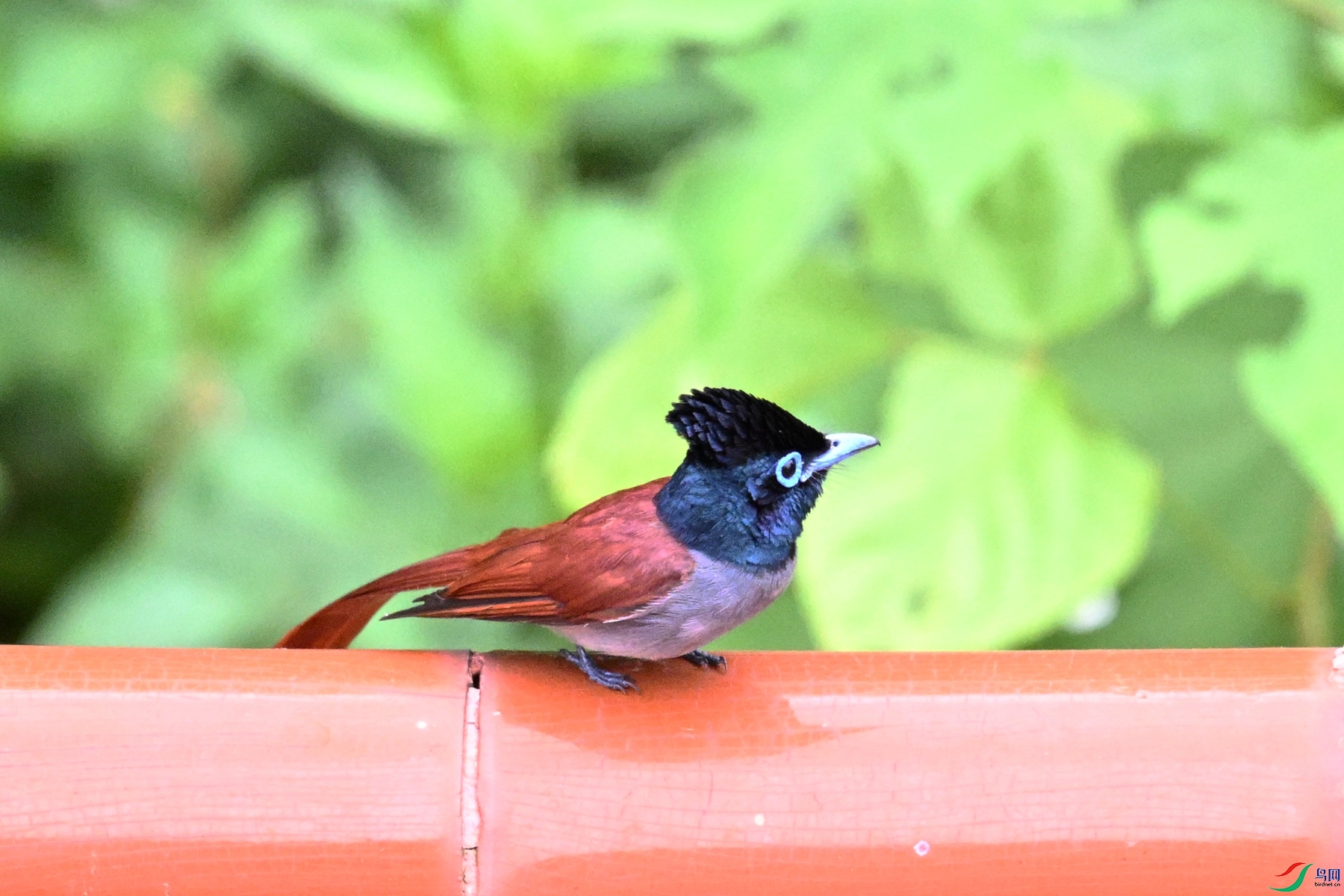DSC_7146.JPG