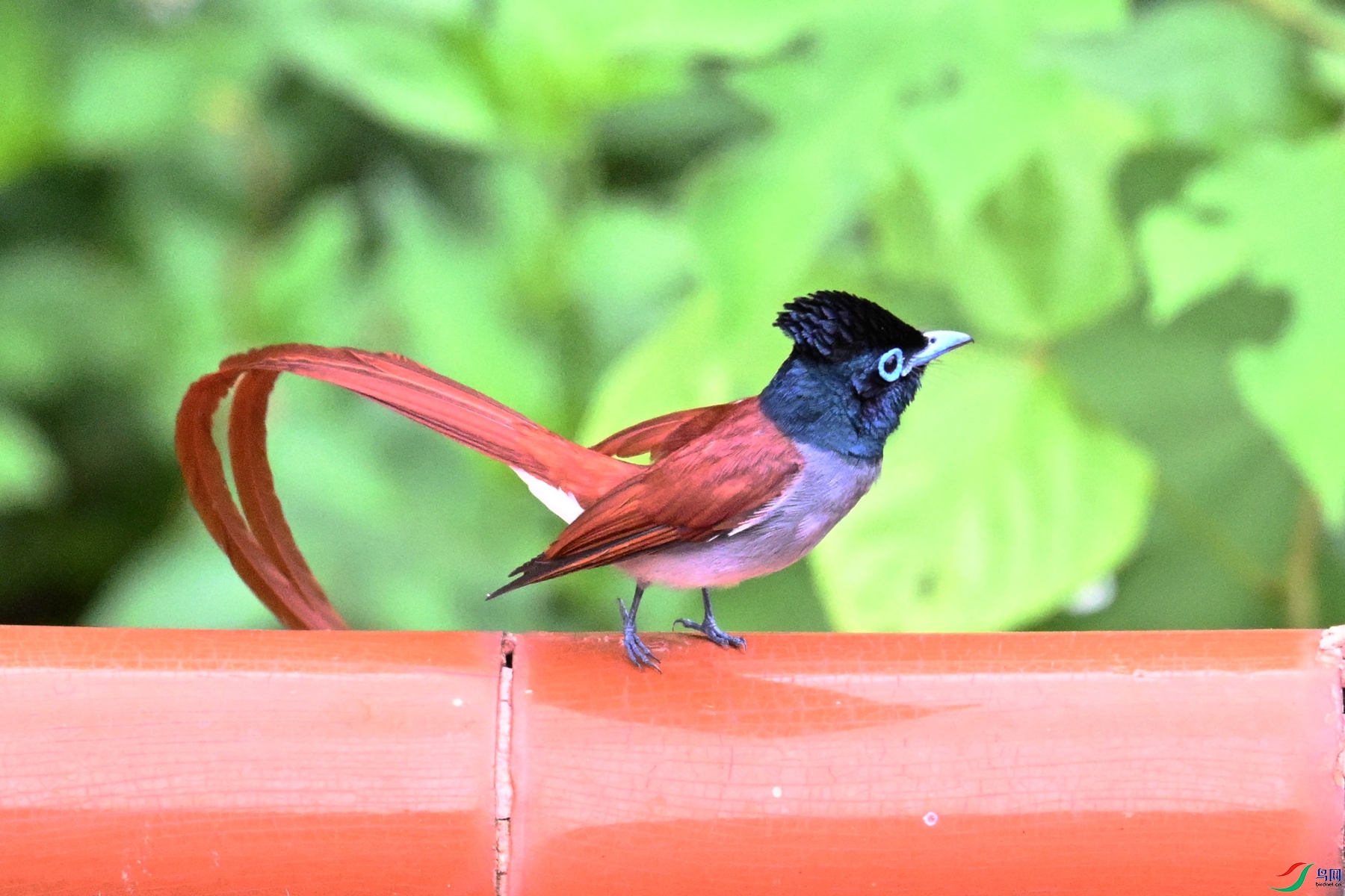 DSC_7149.JPG