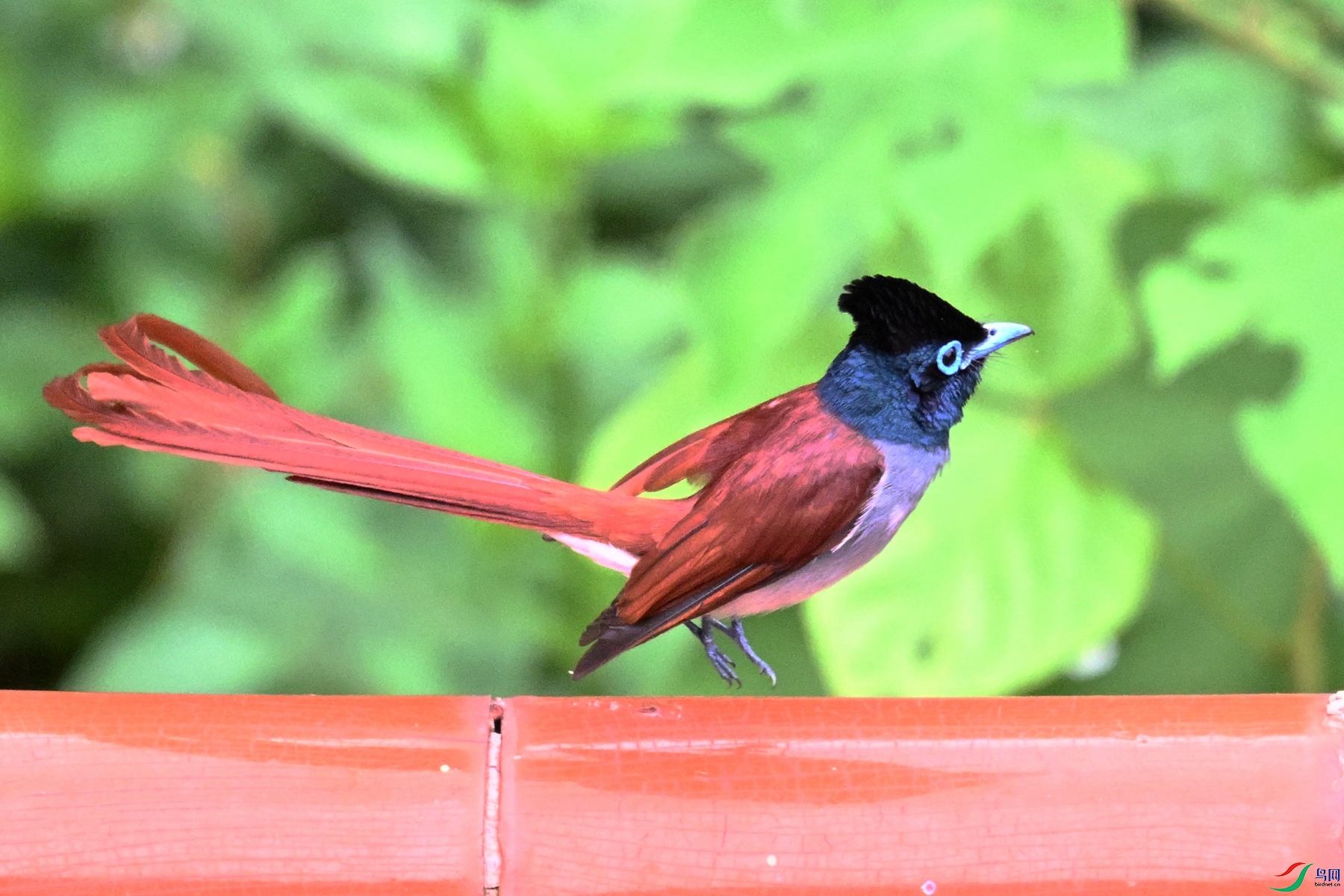DSC_7151.JPG