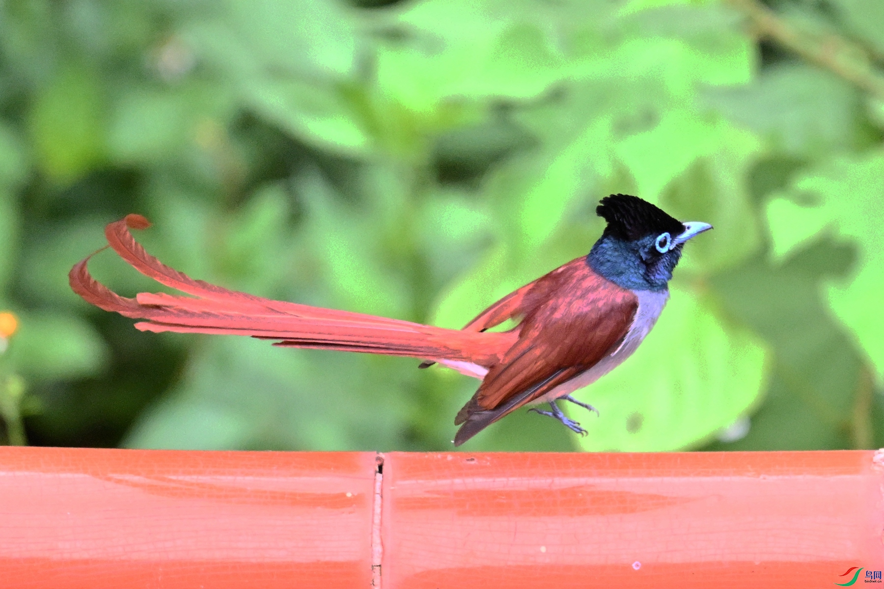 DSC_7152.JPG