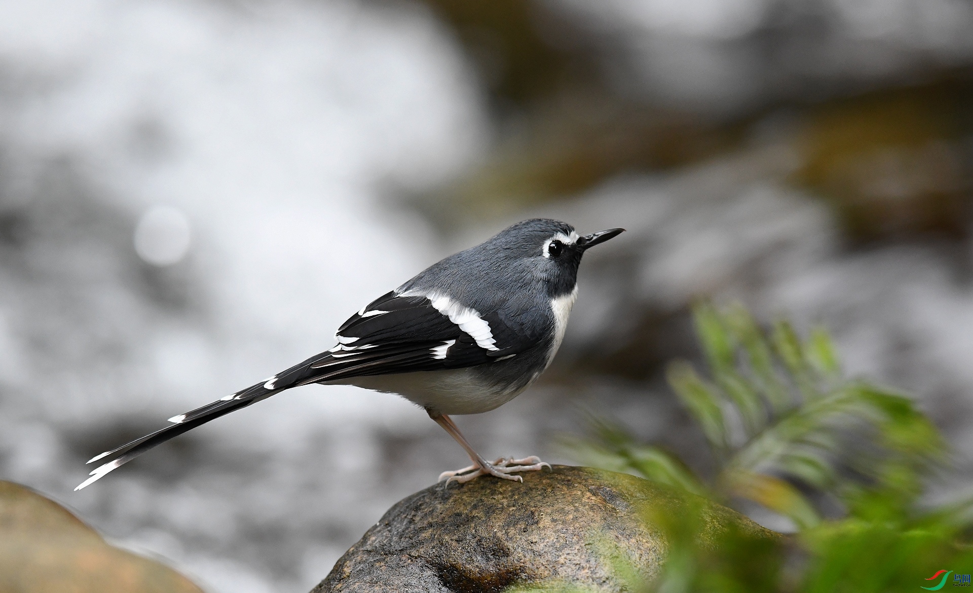 DSC_6392.jpg