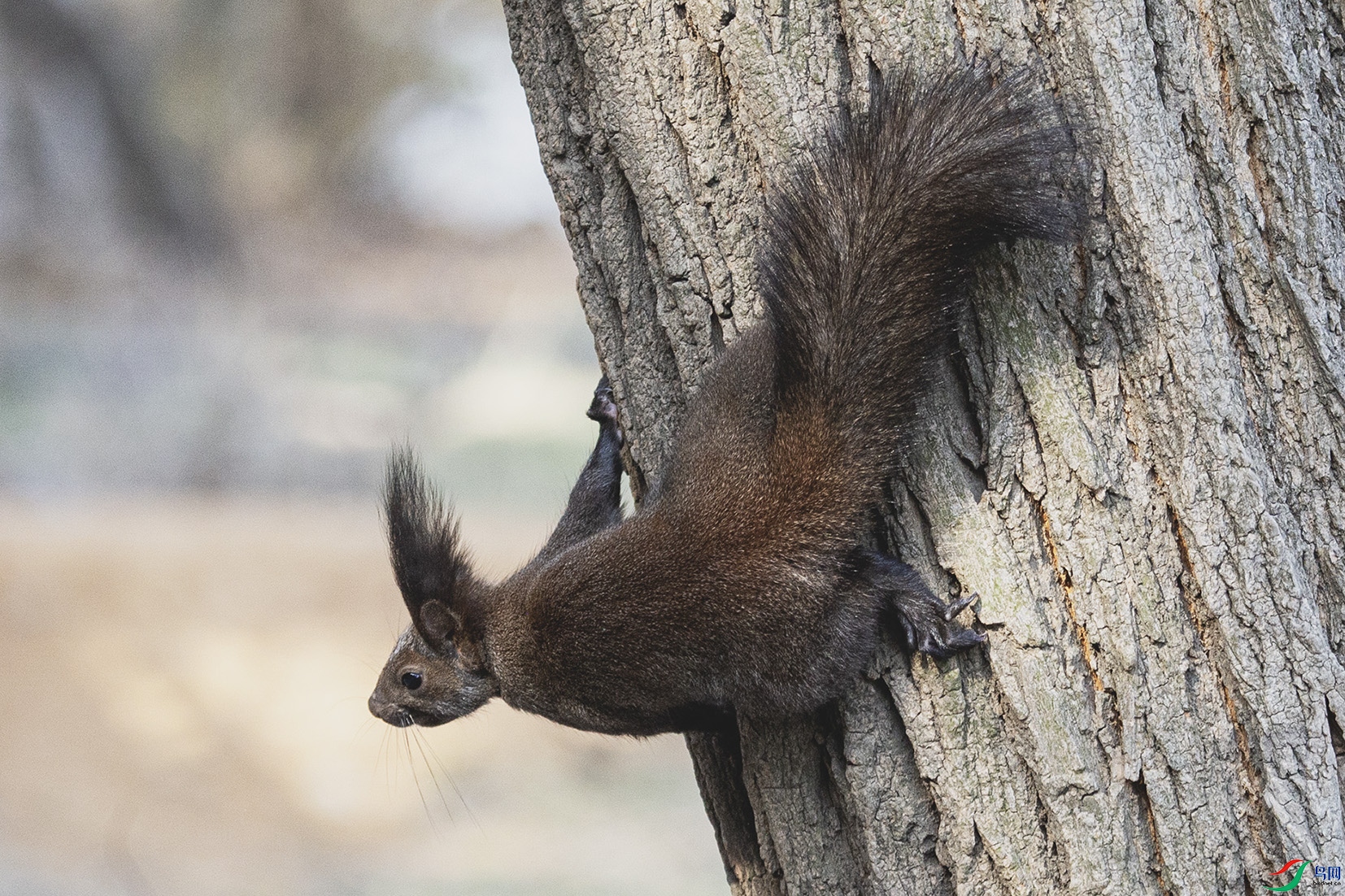 _MG_8006 ���� 2.jpg