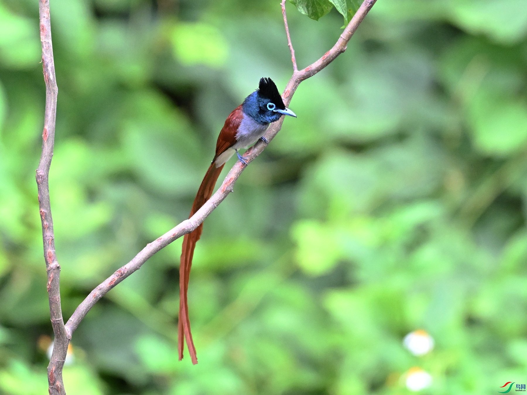DSC_7015.JPG