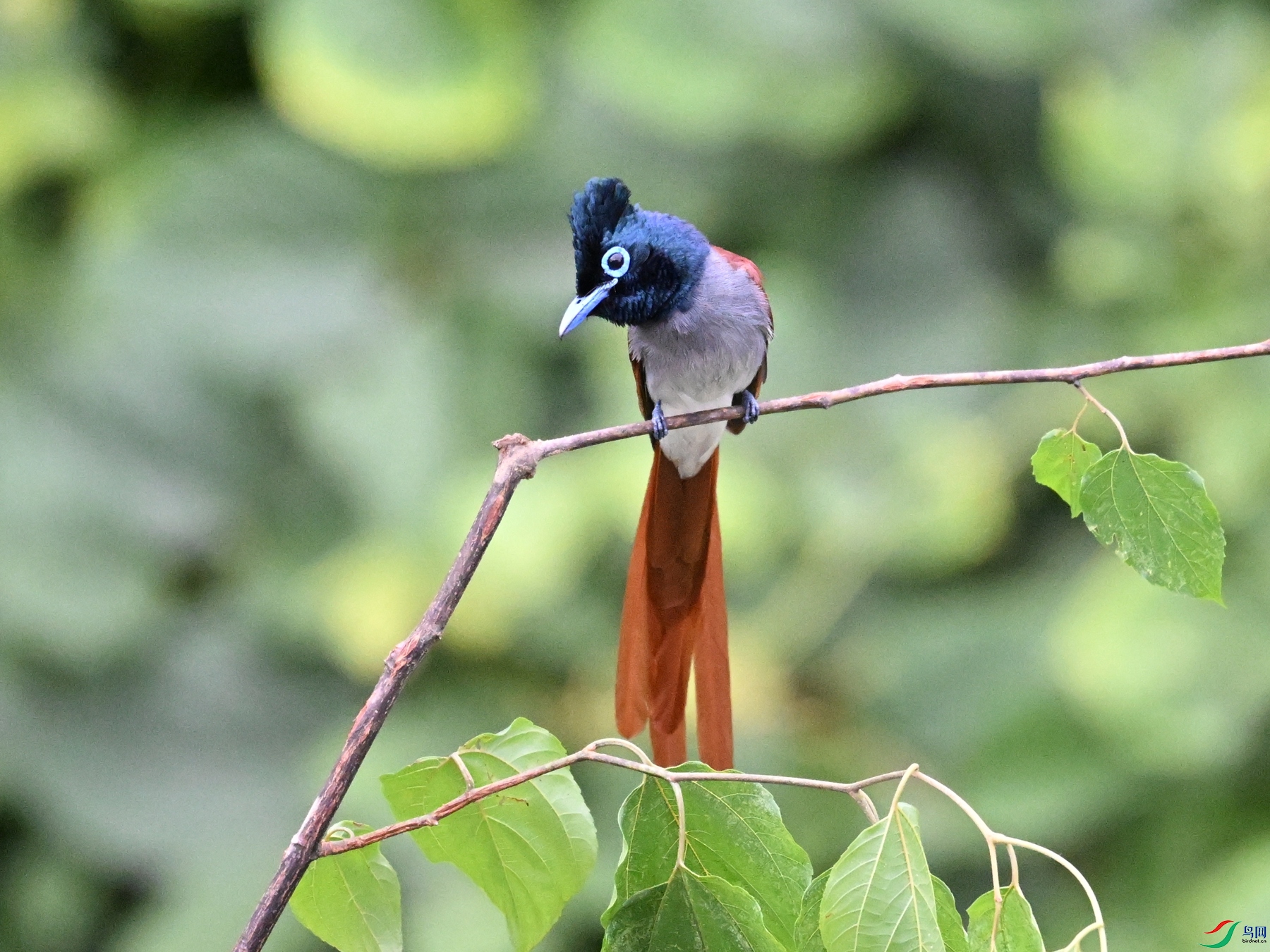 DSC_7013.JPG
