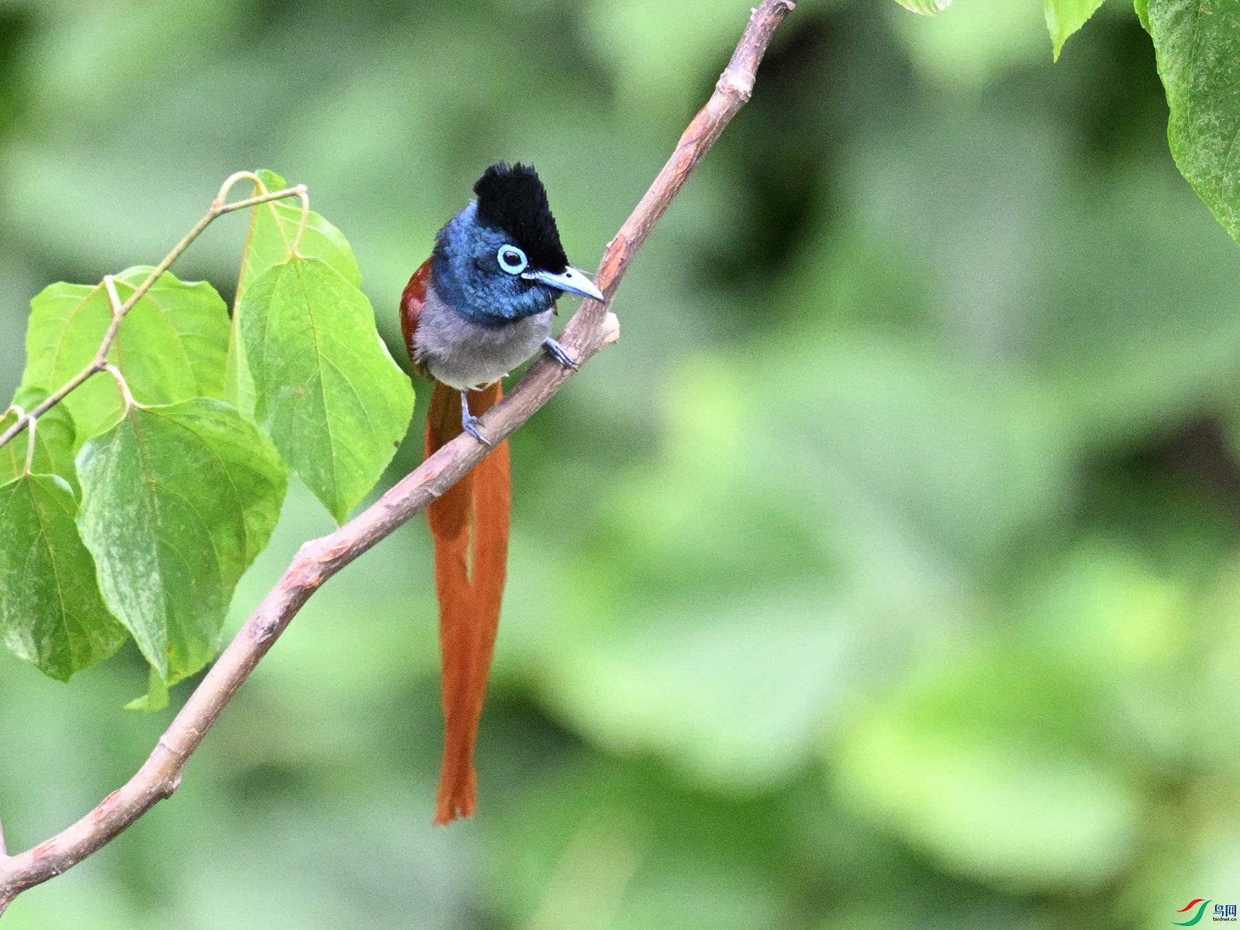 DSC_7307.JPG