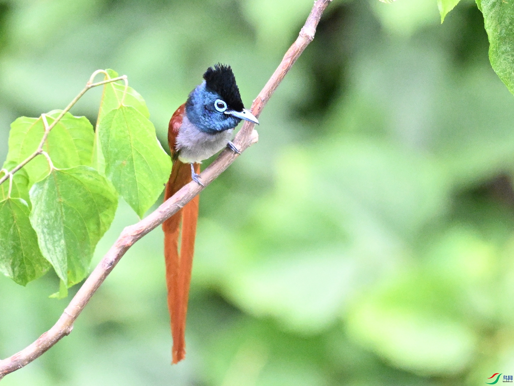 DSC_7317.JPG