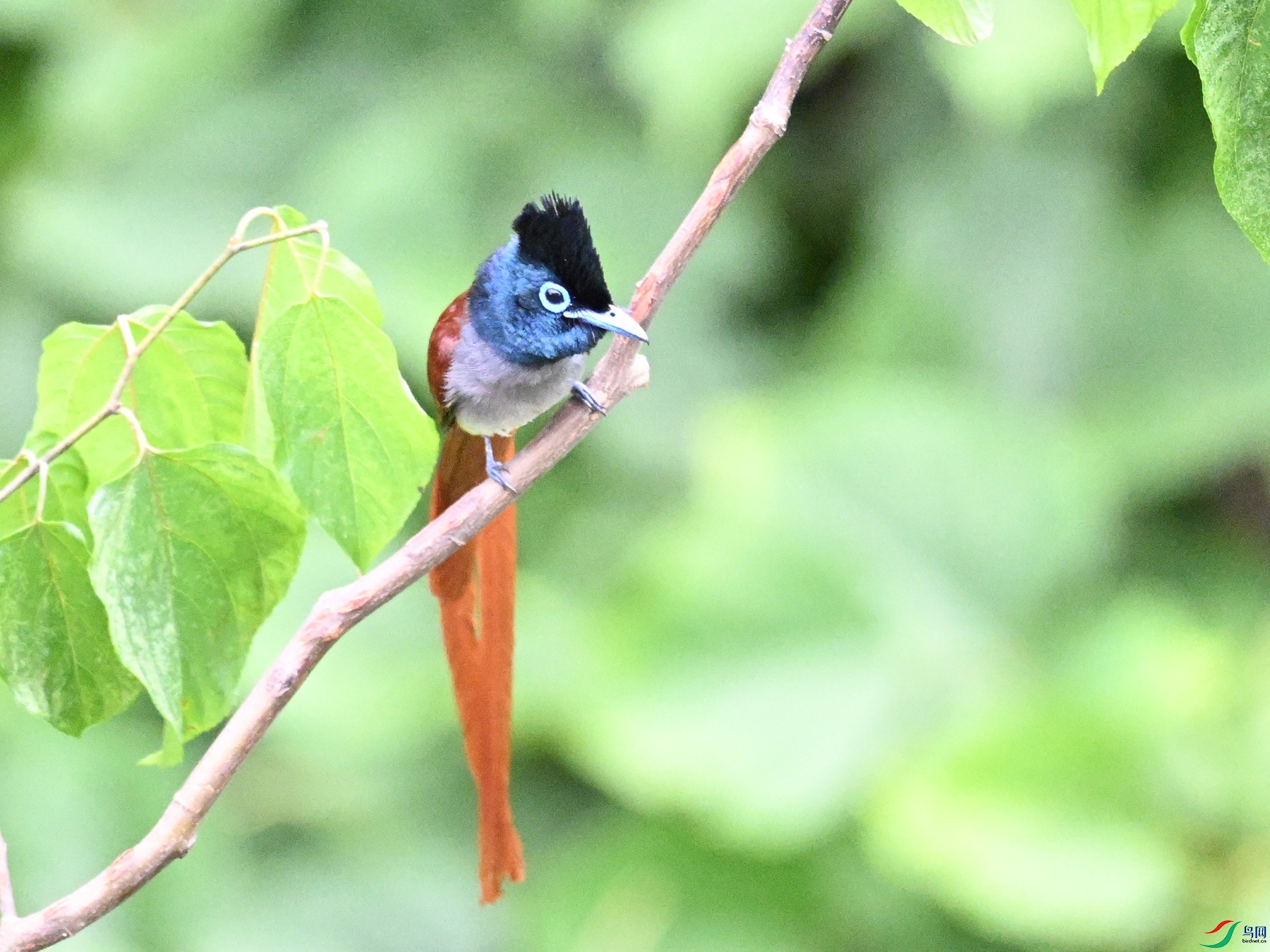 DSC_7313.JPG