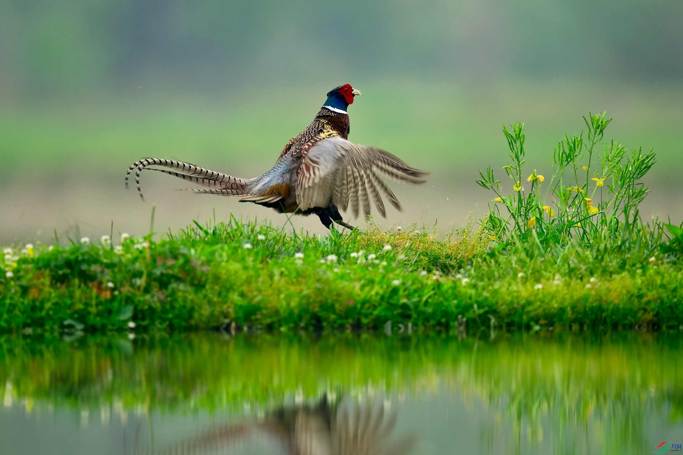 _DSC7122x.jpg