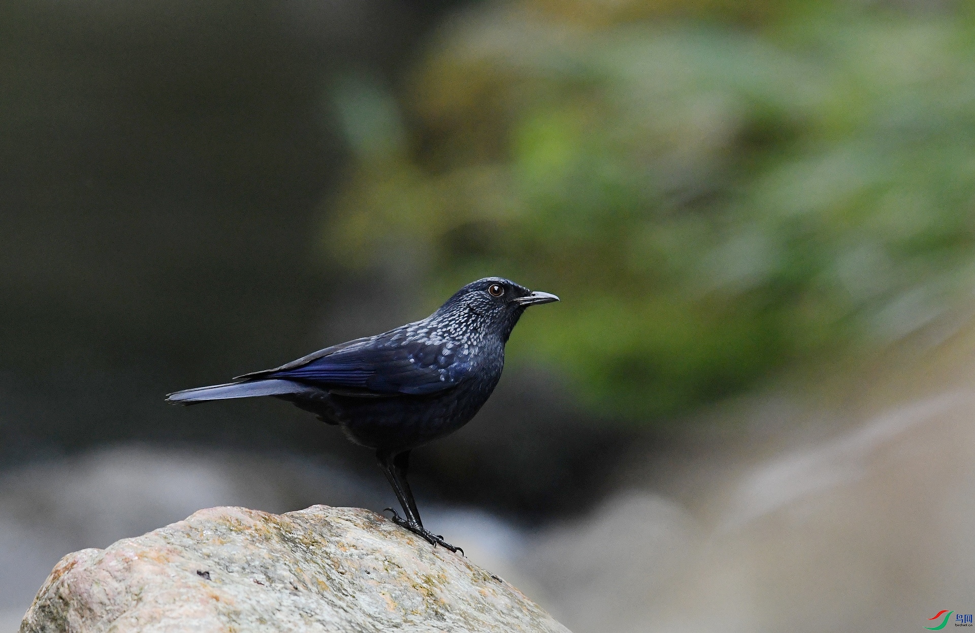 DSC_6486.jpg