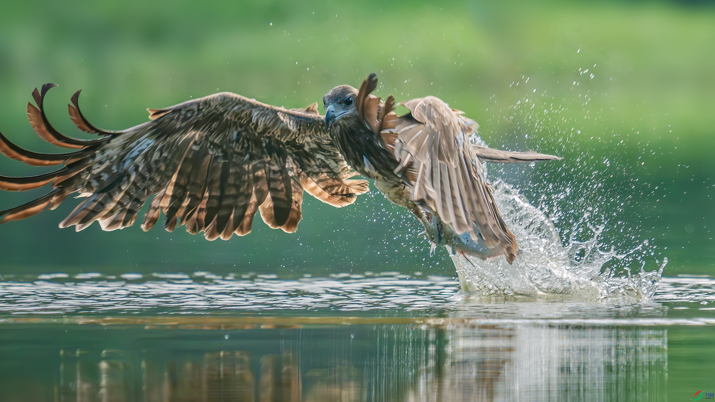 _DSC7778 ����.jpg