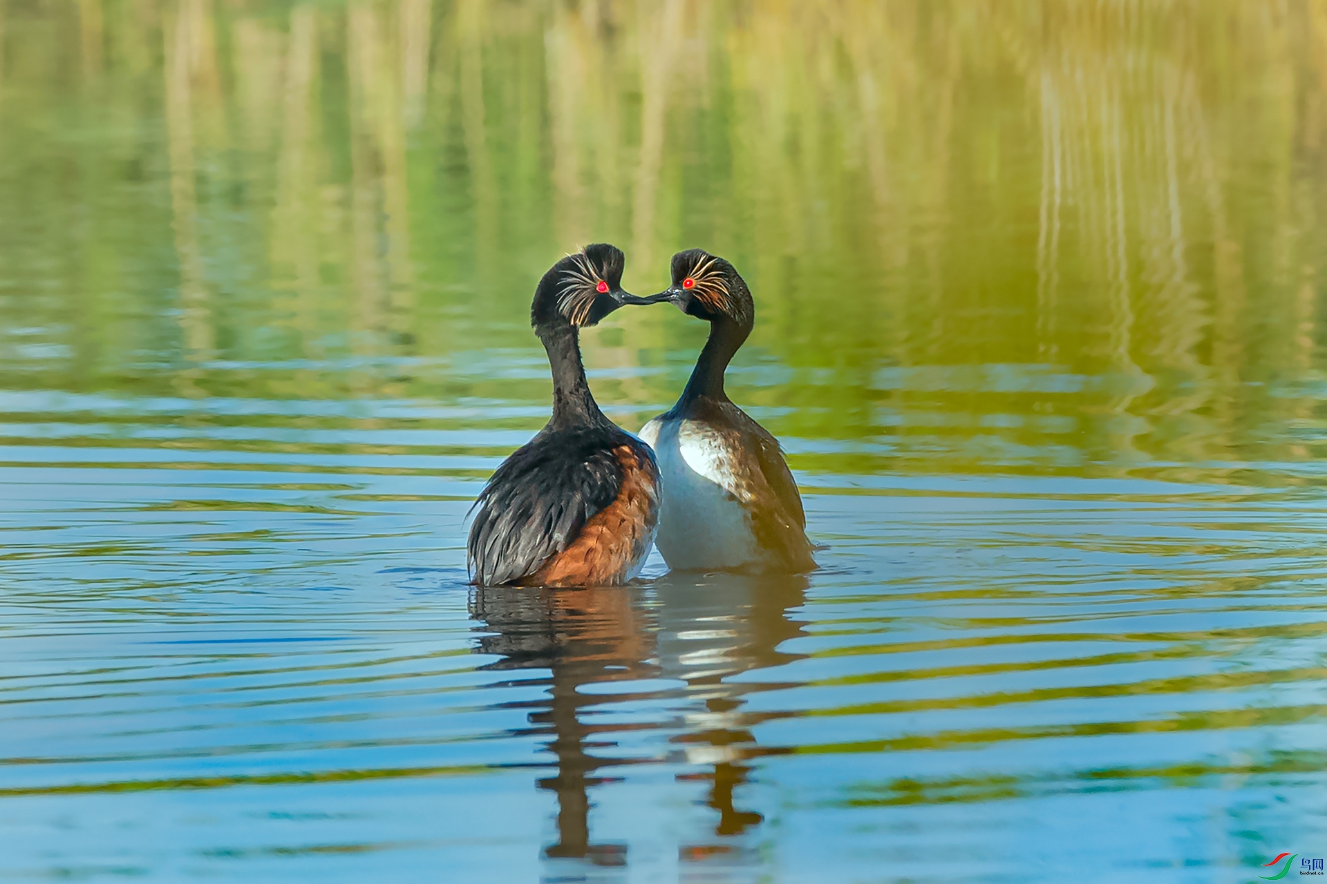 B86I6524a_����.jpg