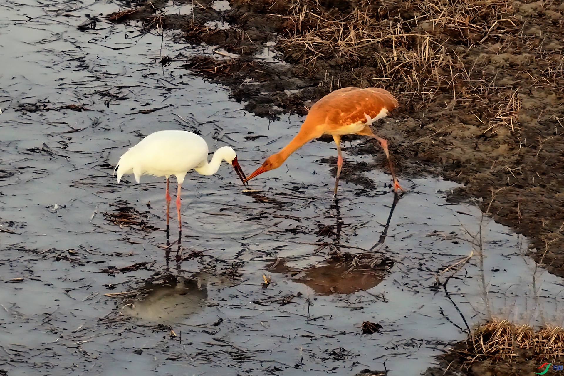 10��25�� (2).jpg