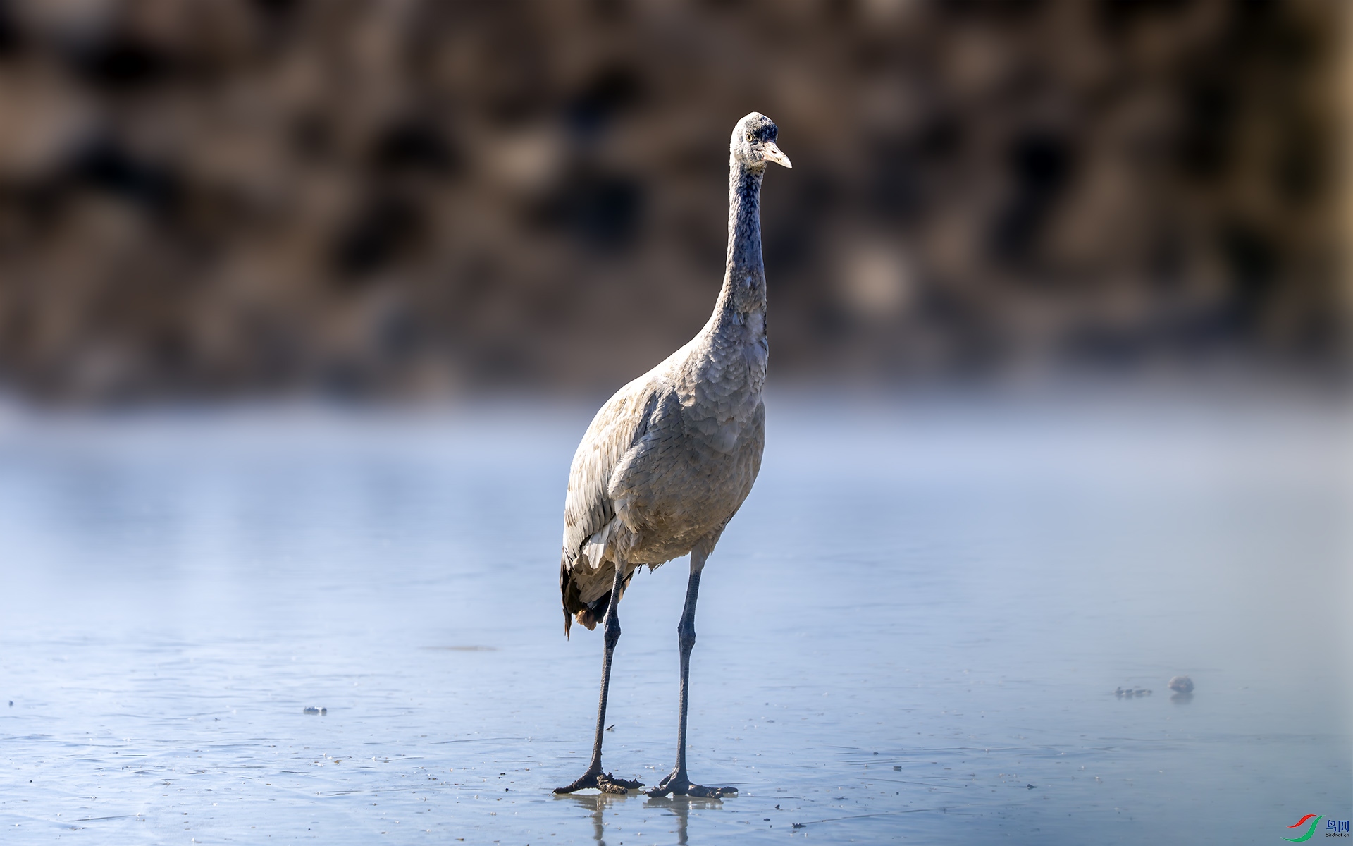 DSC04383-����ǿ-NR ����.jpg