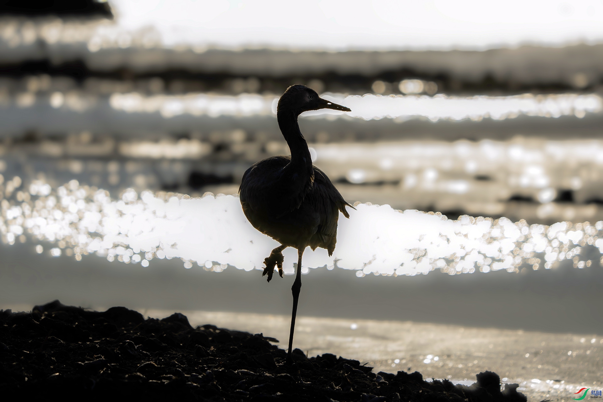 DSC00088 ���� 2.jpg