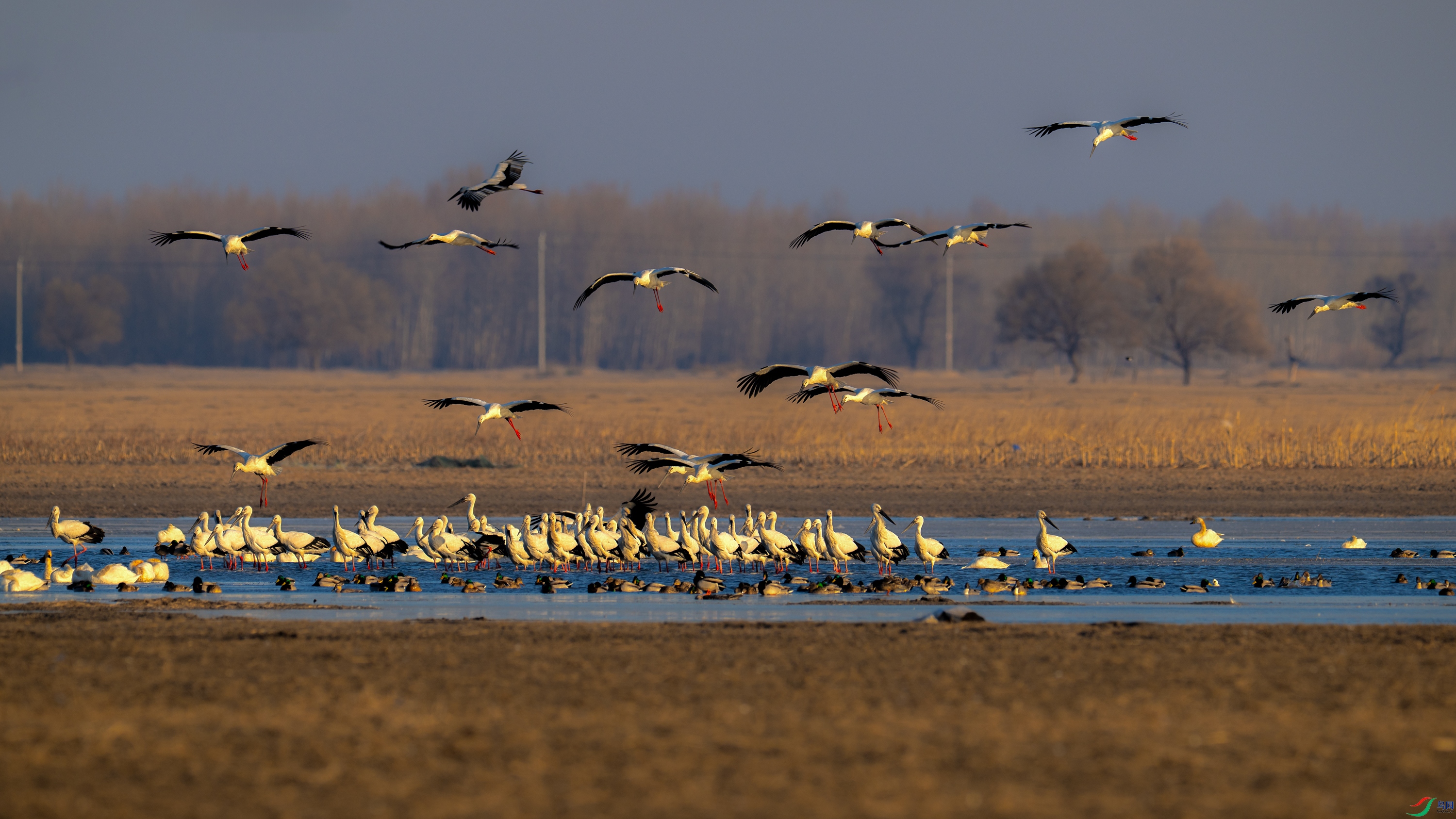 DSC_7060.jpg
