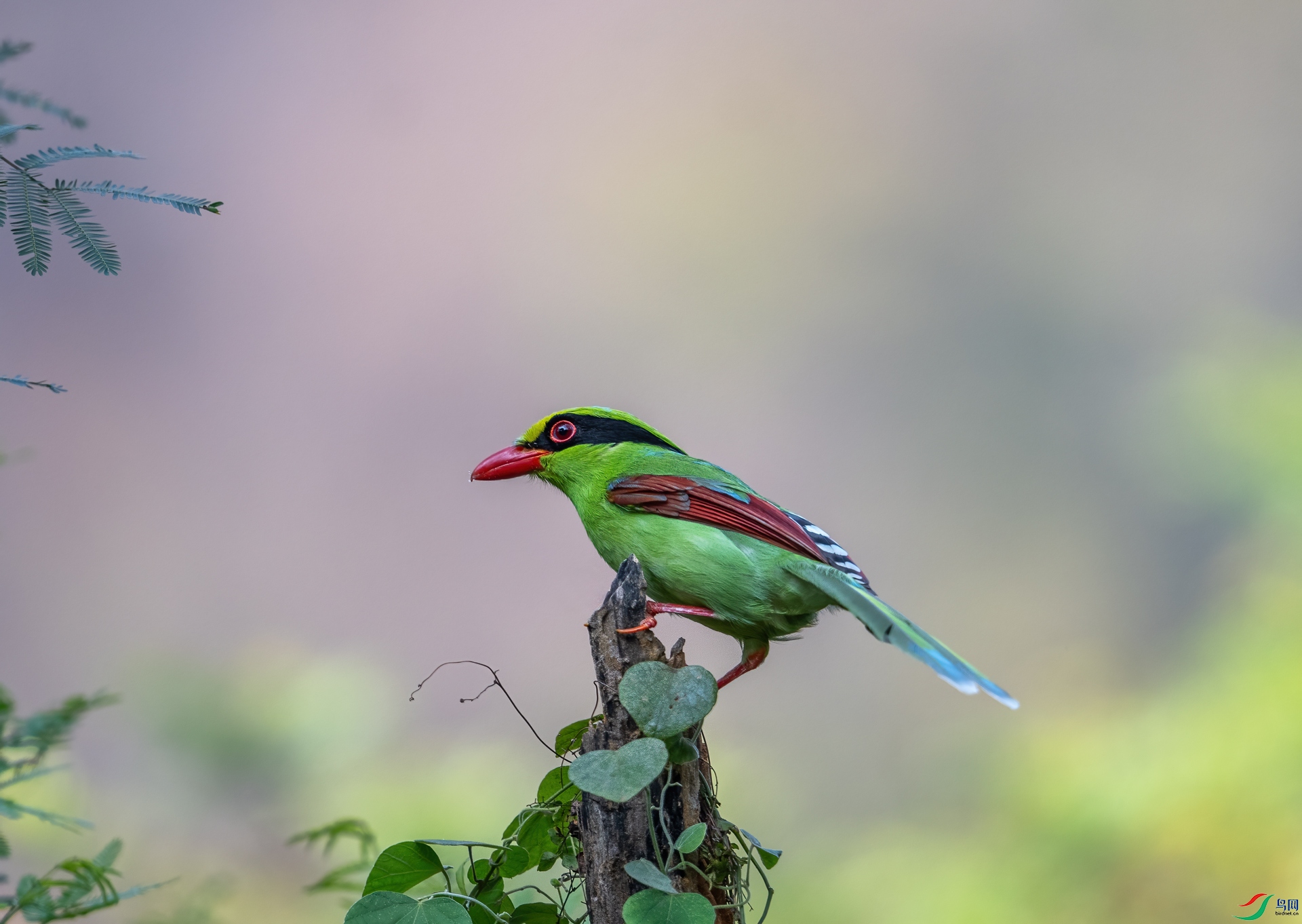 DSC_0573-1.jpg