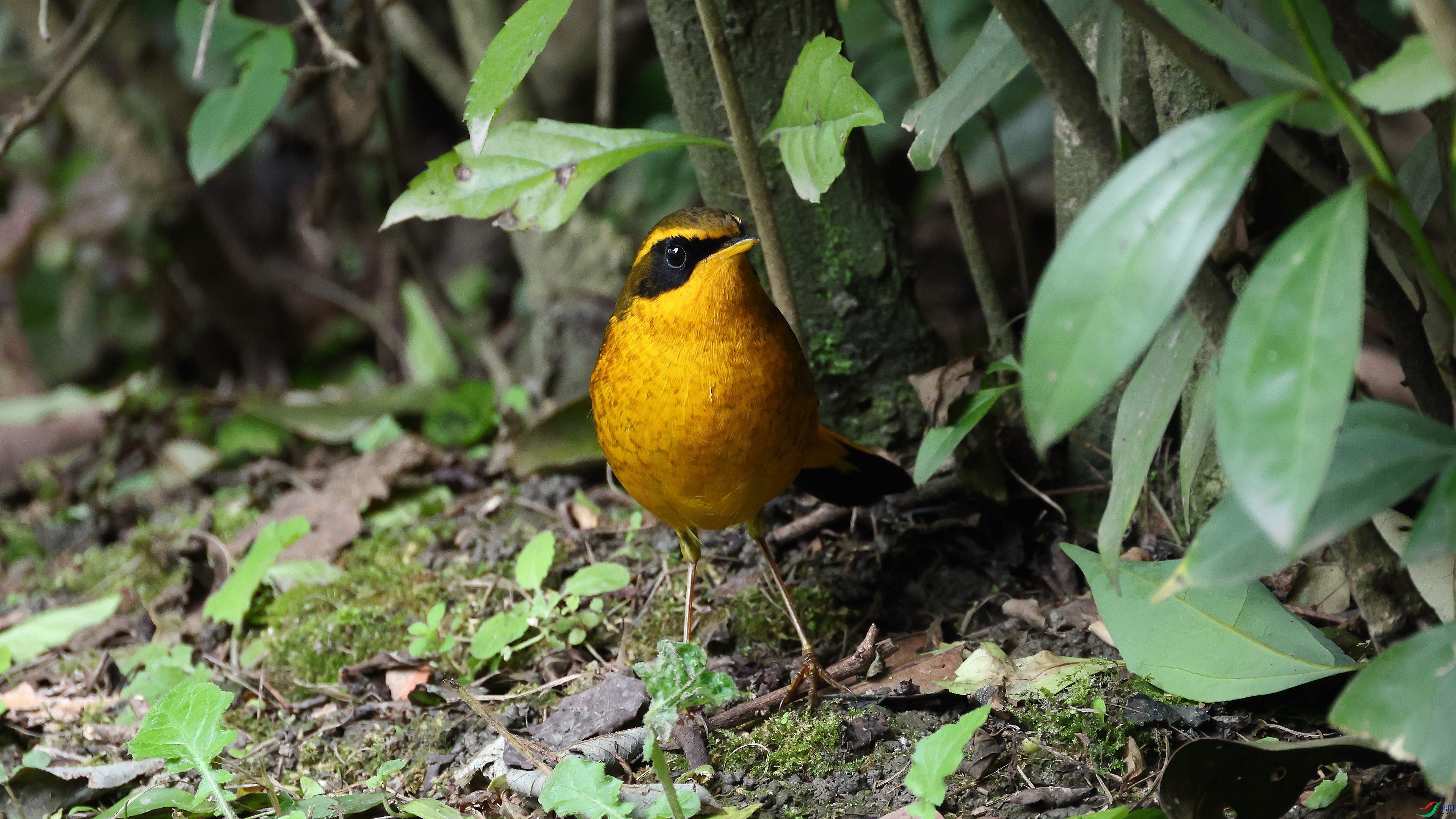 IMG_4071.JPG