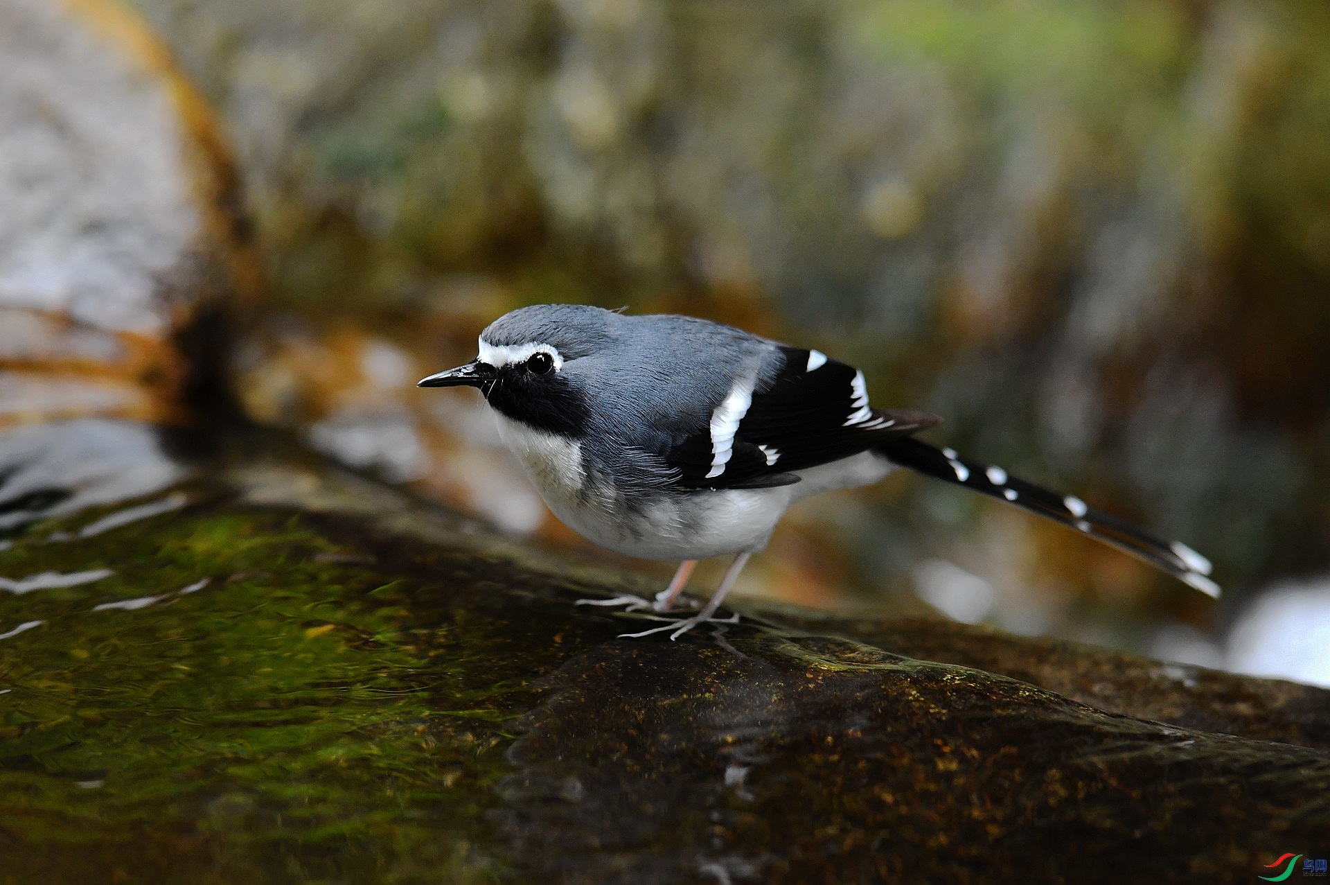 DSC_6428.jpg