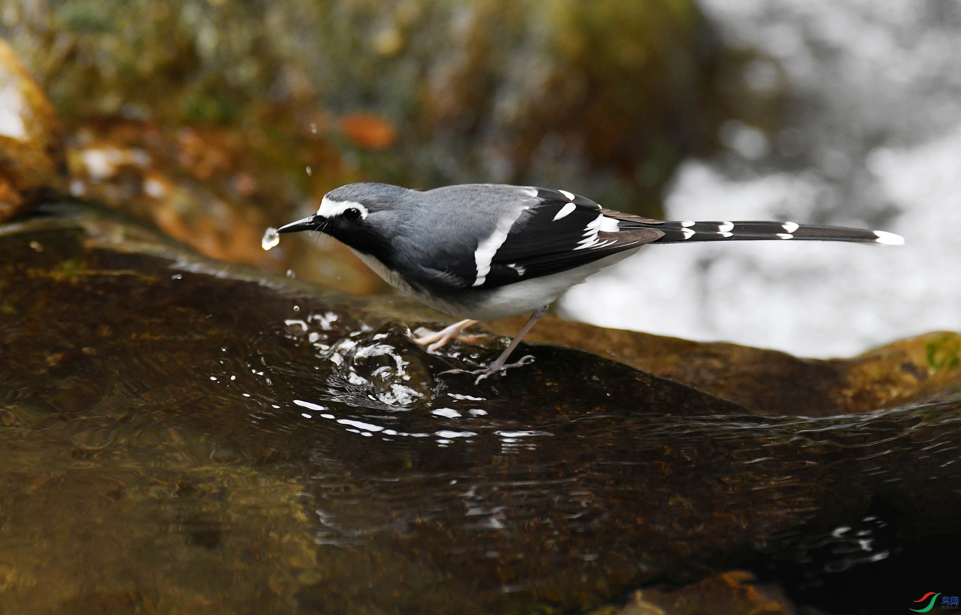 DSC_7698.jpg