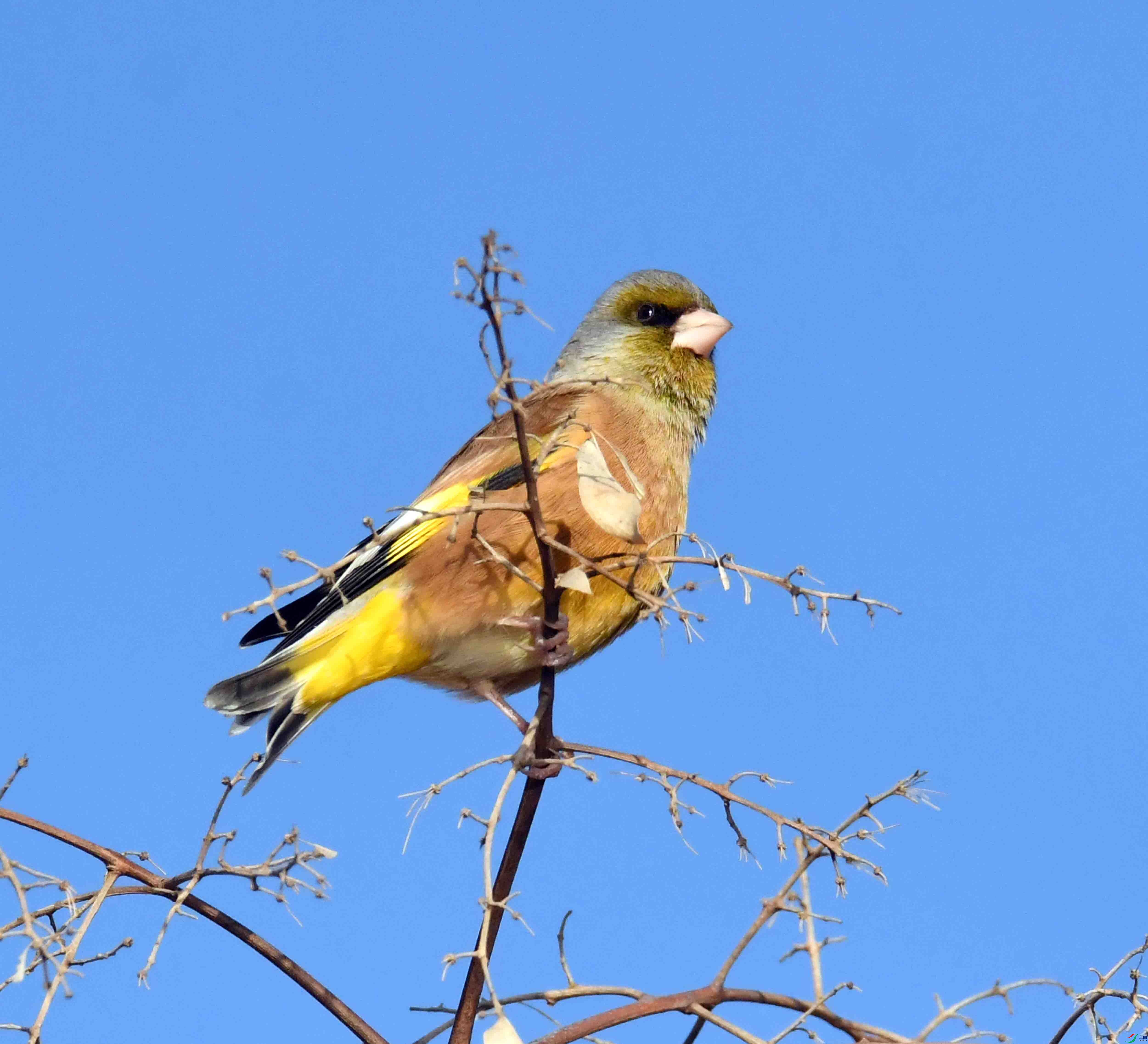 DSC_9758.JPG
