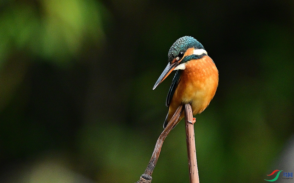 DSC_5881.JPG