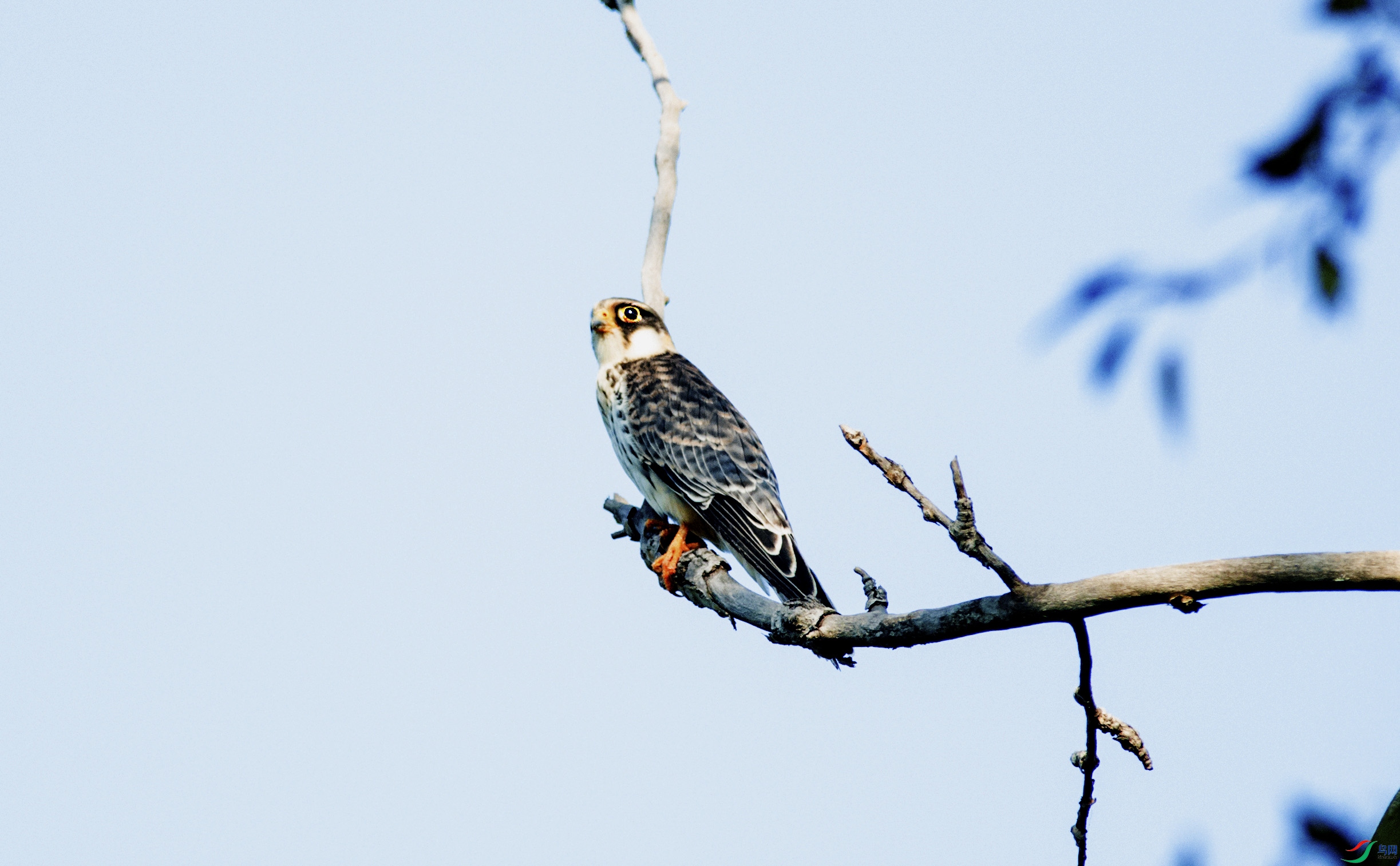 DSC_9084.jpg