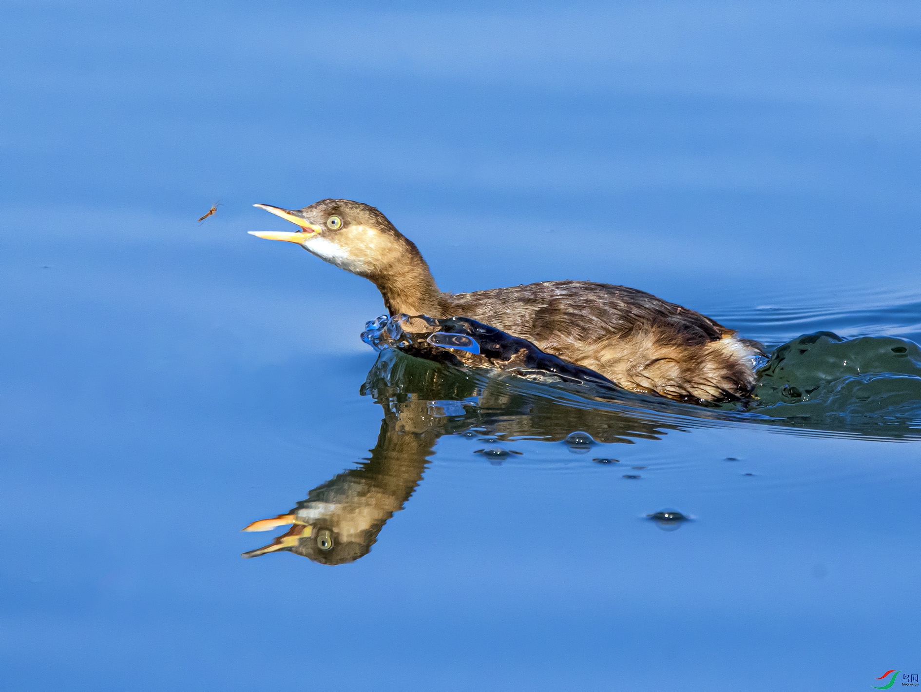 DSC_8612 ����.jpg