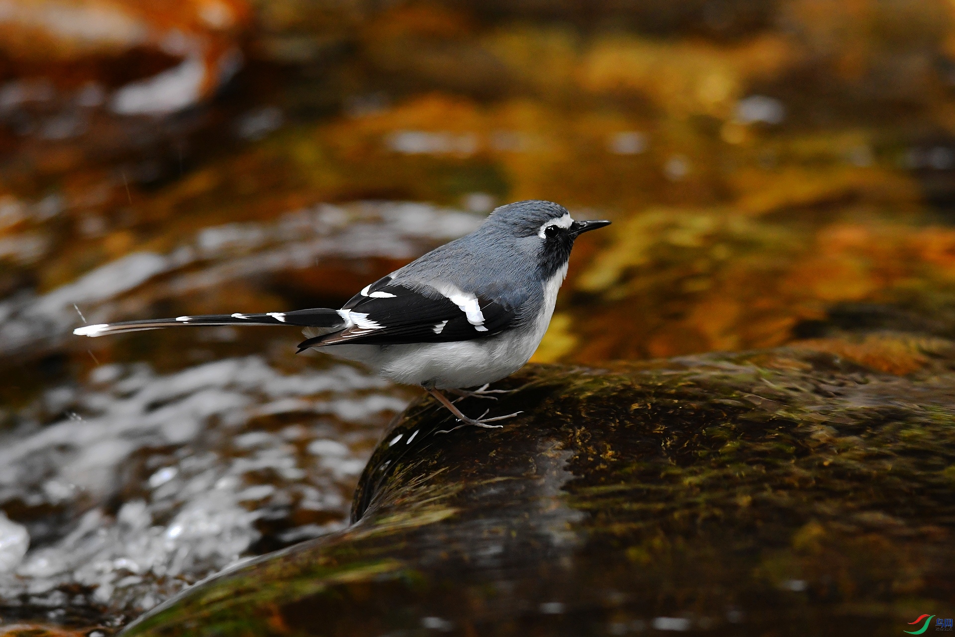 DSC_6420.jpg