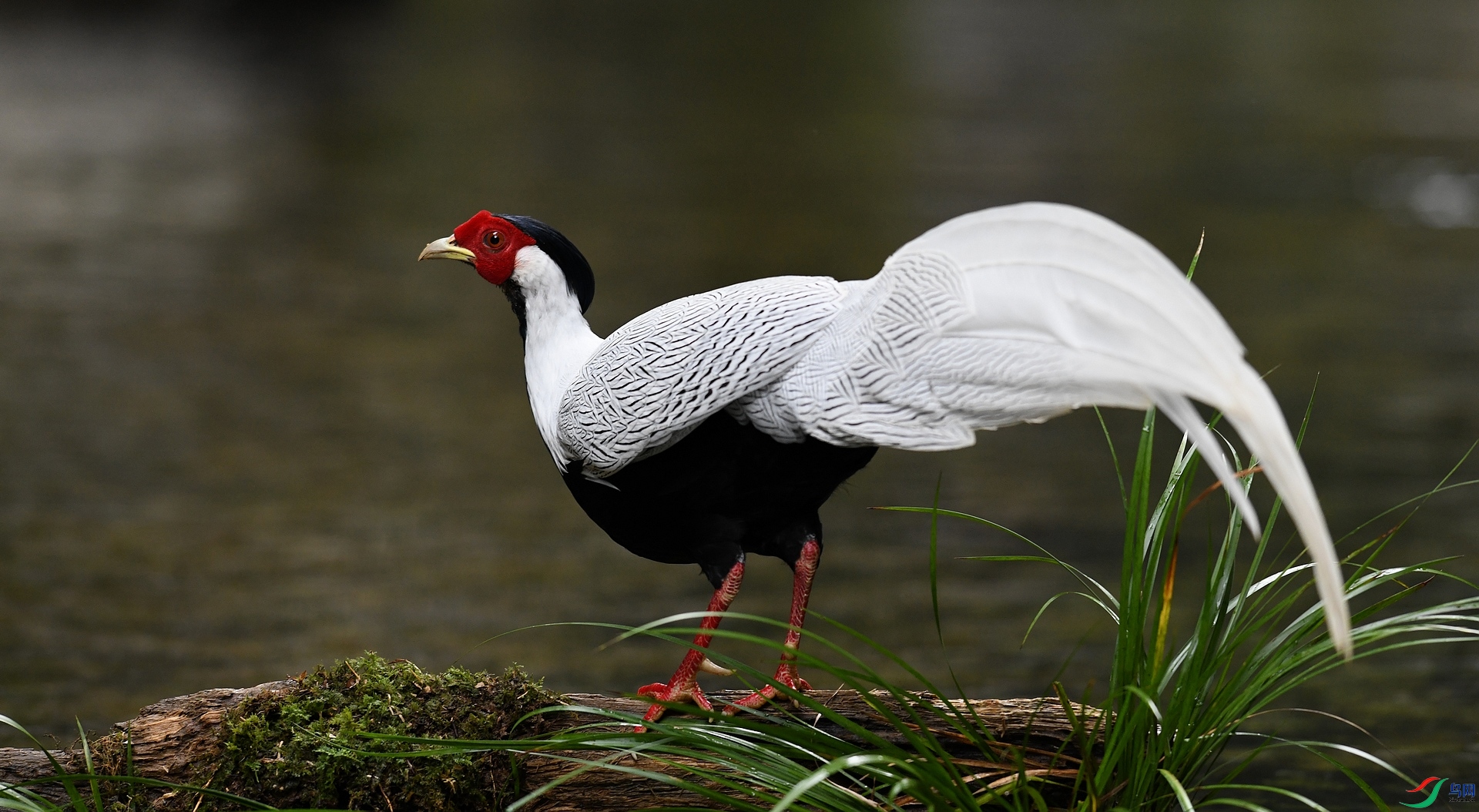 DSC_5376.jpg