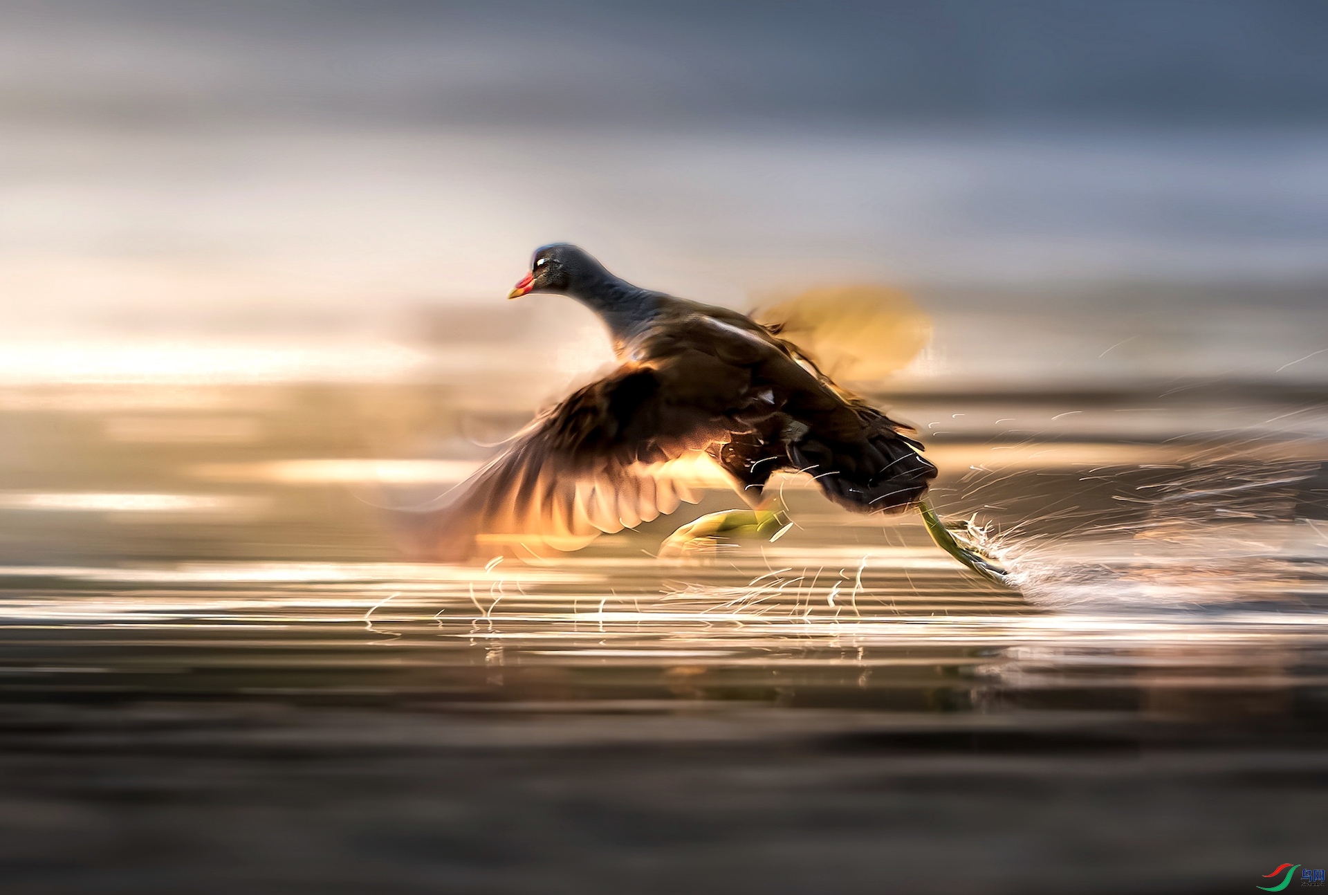 1_XXL8821-����ǿ-NR-1 2-1-1 2.jpeg