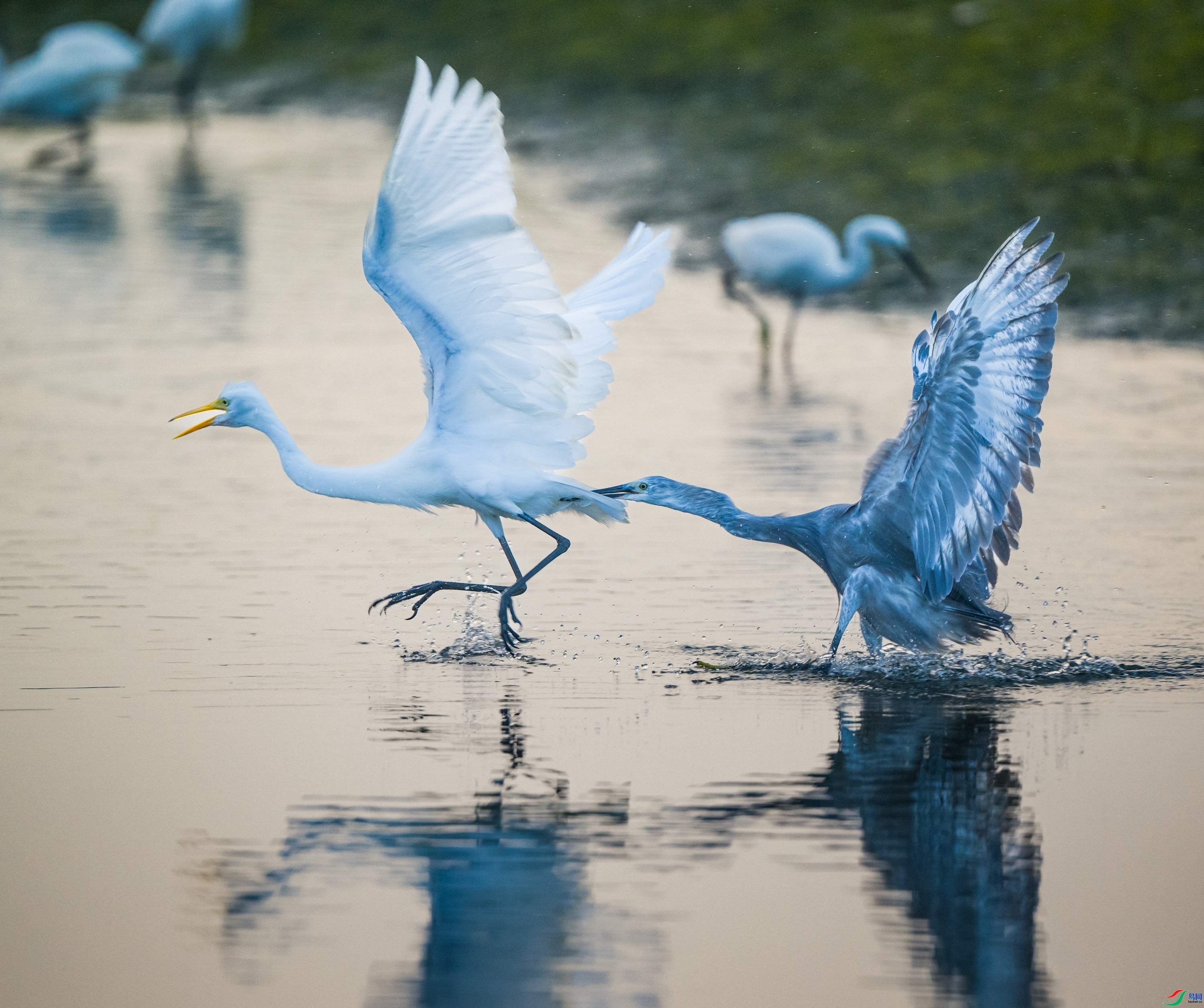 ��2025��9�£���Ȼ��ս���ĻҰ��ء���