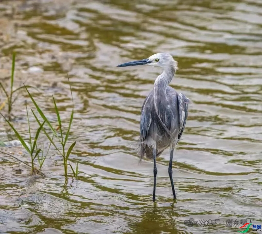 ��2025��8��27�����磬����13���ڱ�����ʪ�ؼ�¼���Ұ��ء���