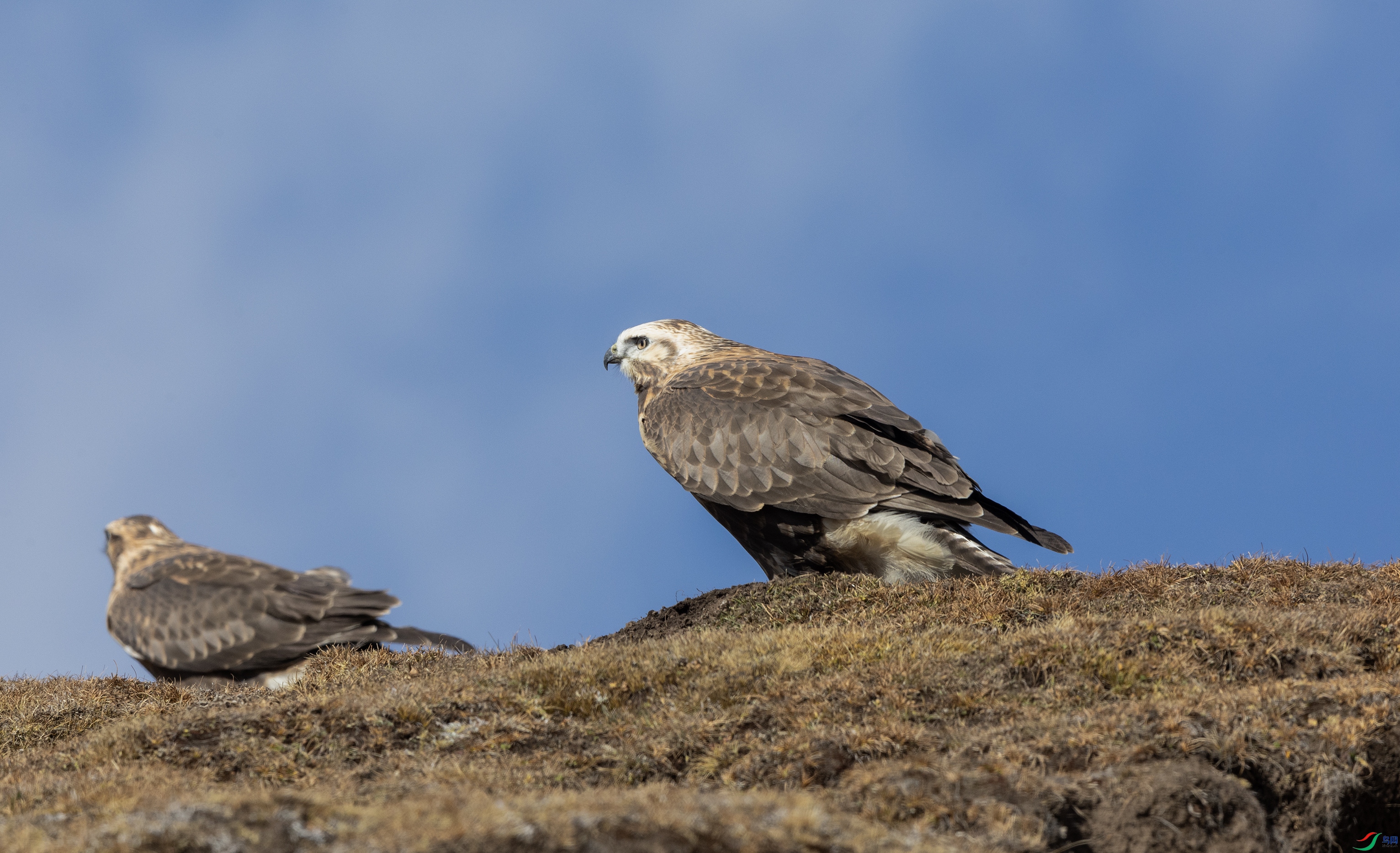 0O7A1936 ����444.jpg