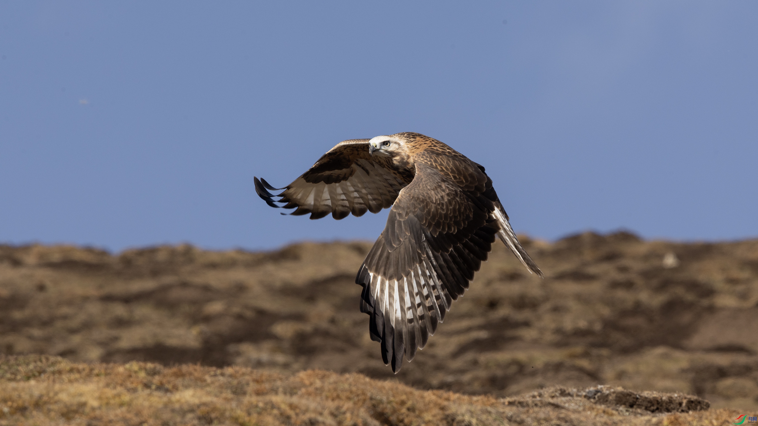 0O7A2125 ����444.jpg