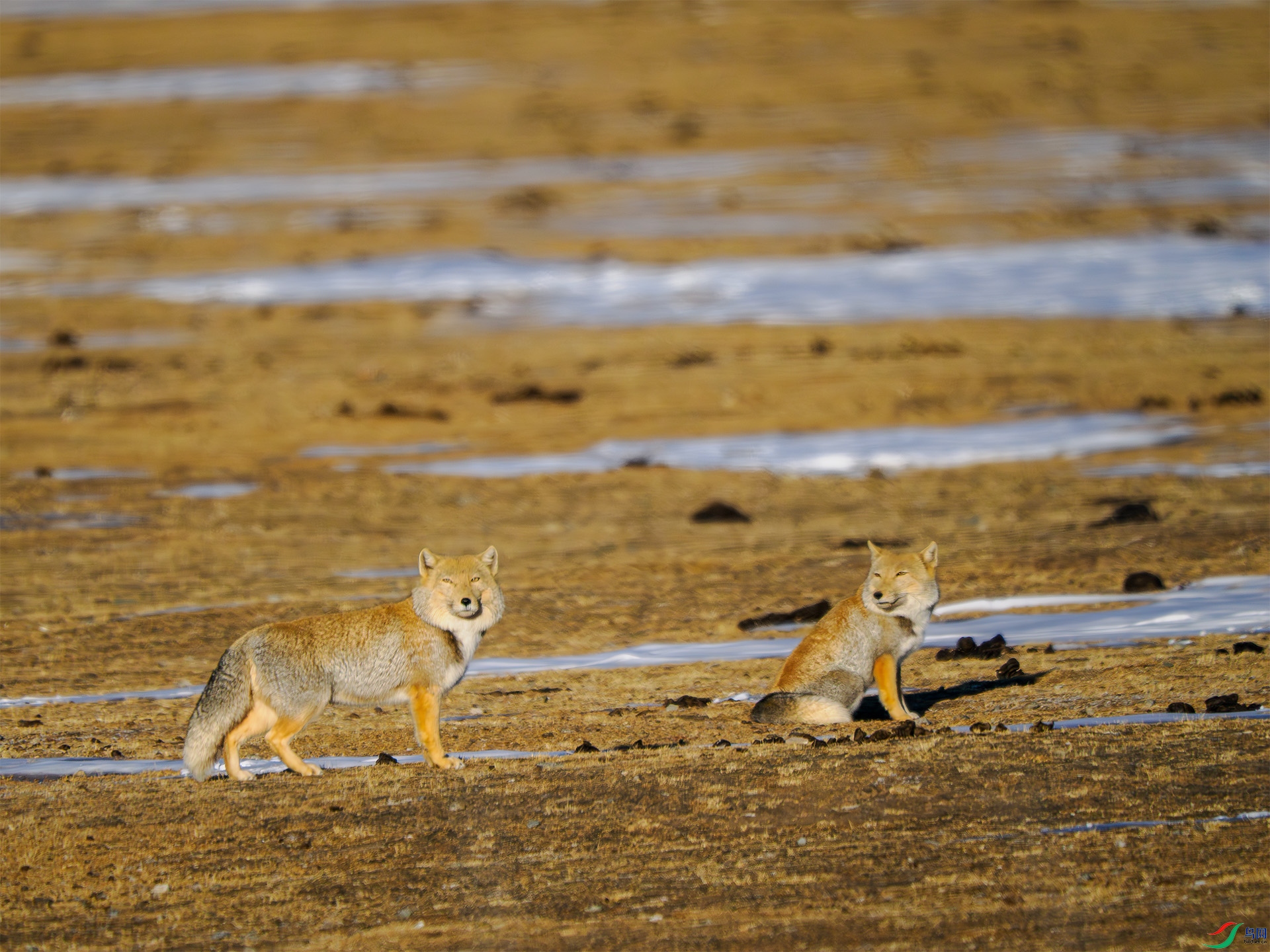 ����������ɽ