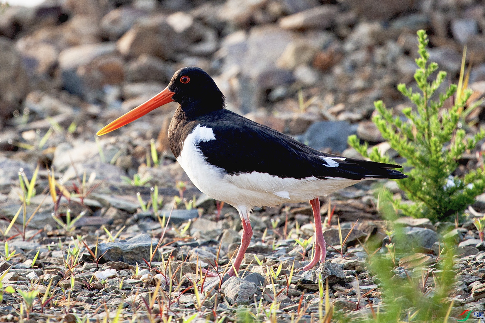 _MG_9828 ���� 2.jpg