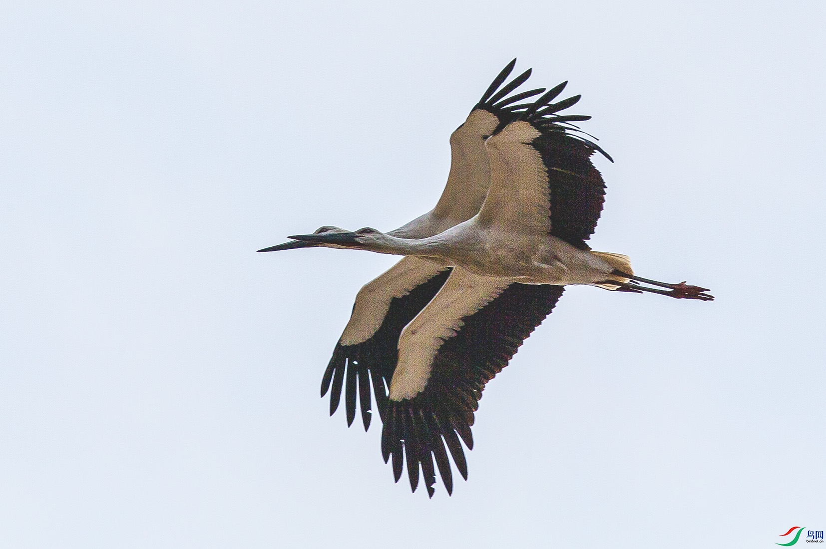 _MG_0981 ����.jpg