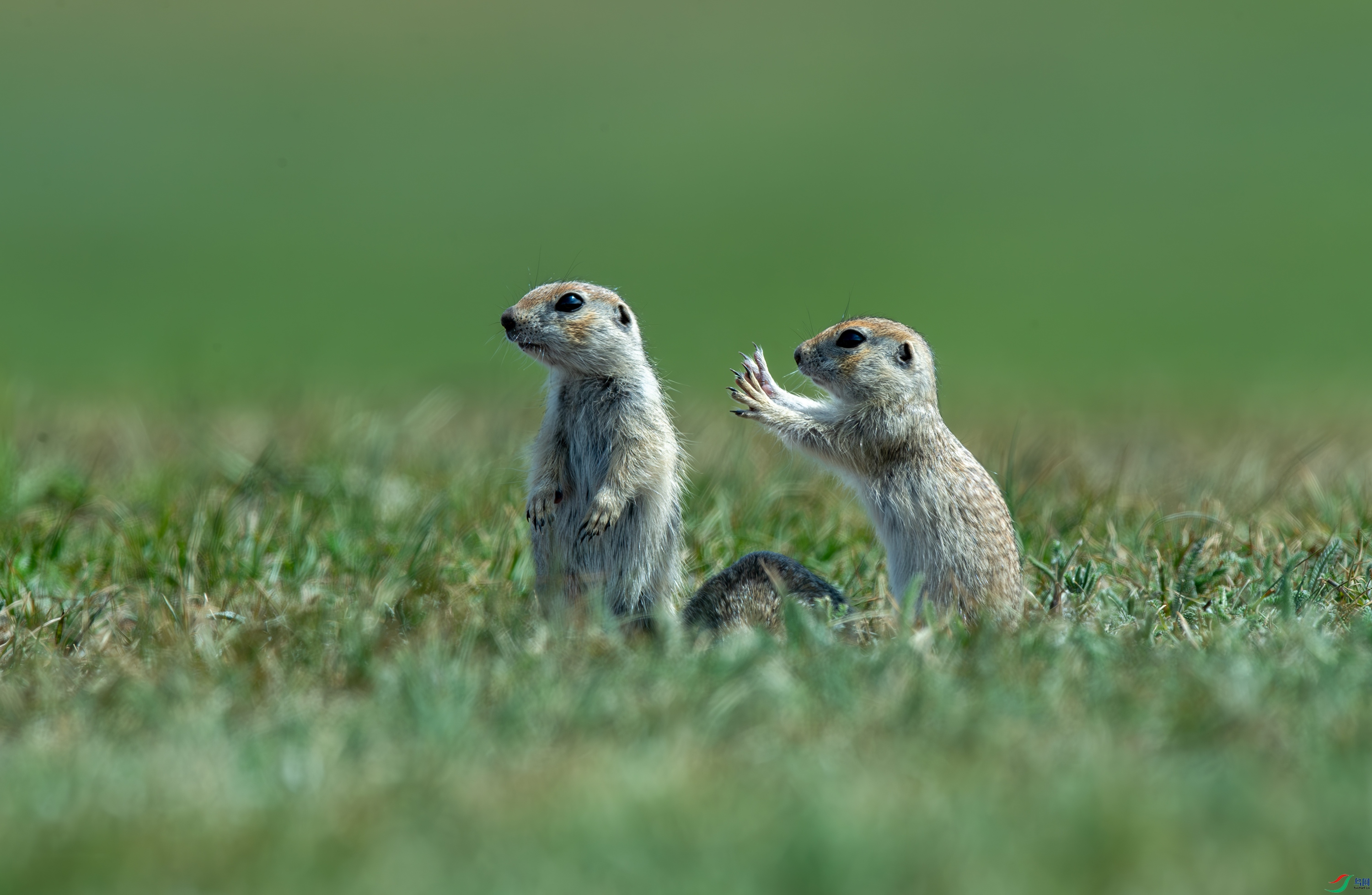 DSC_3878-����ǿ-NR.jpg