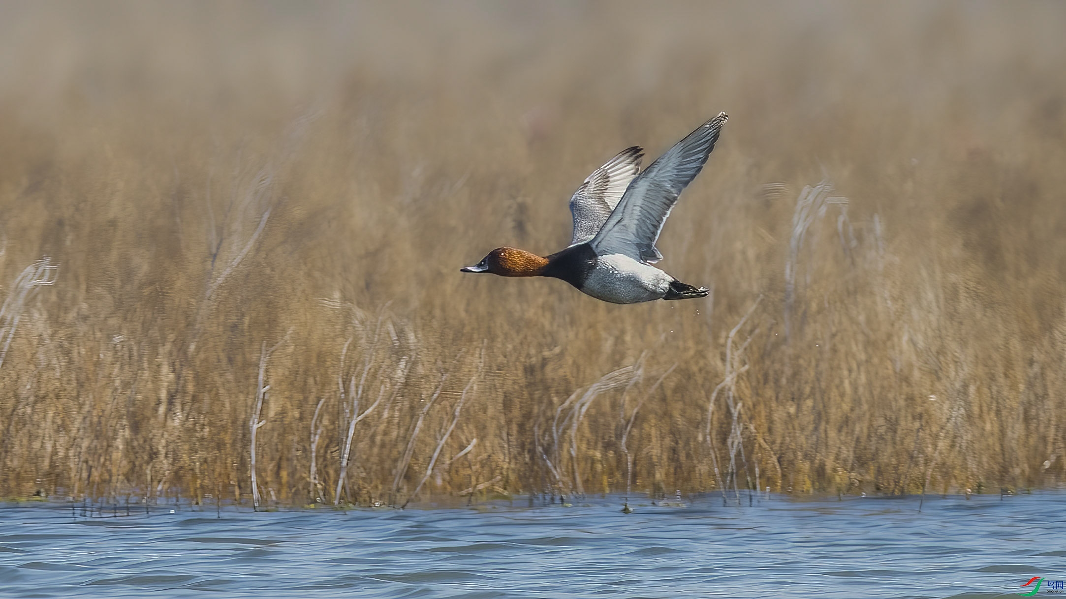 DSC_5256 ���� 2.jpg