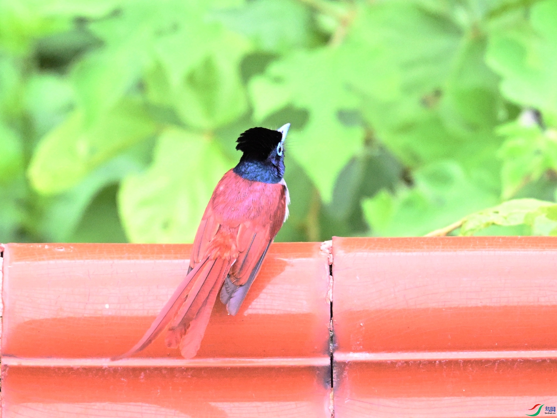 DSC_7170.JPG