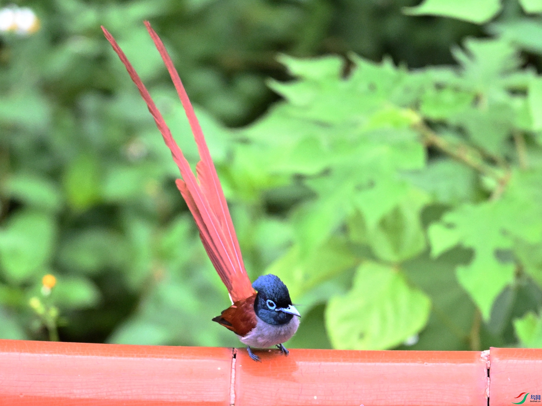 DSC_7093.JPG