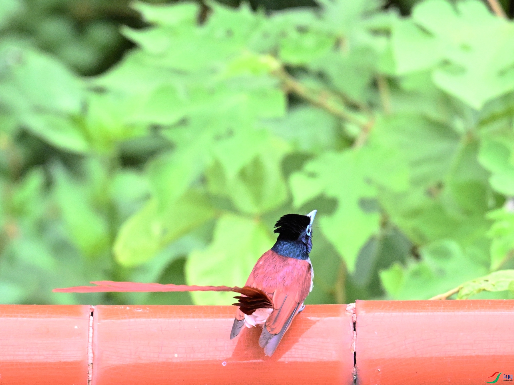 DSC_7161.JPG