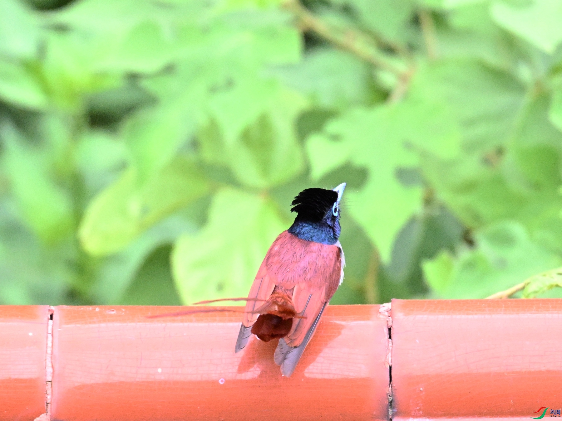 DSC_7163.JPG