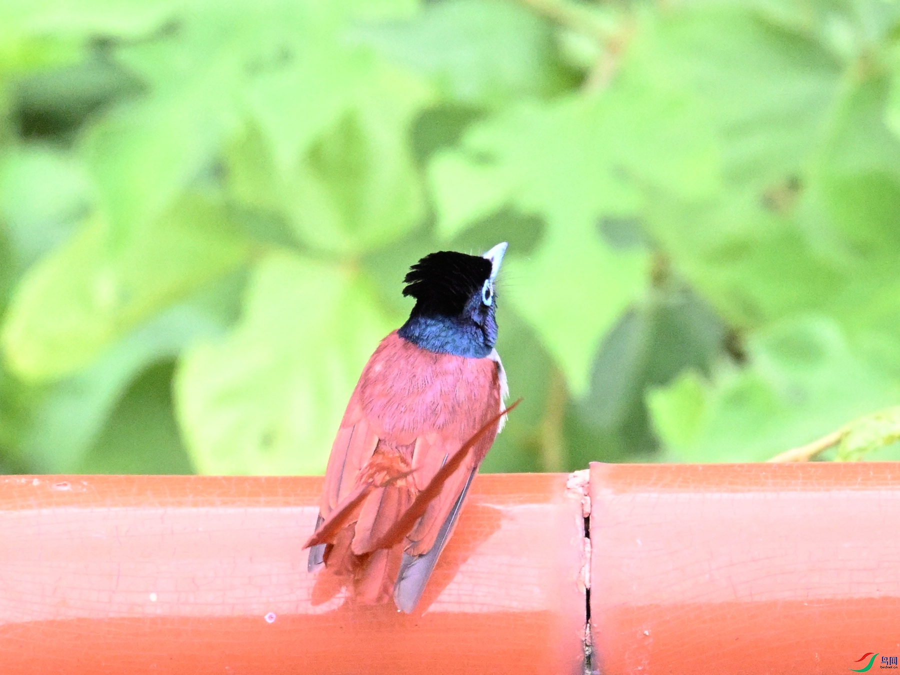 DSC_7165.JPG